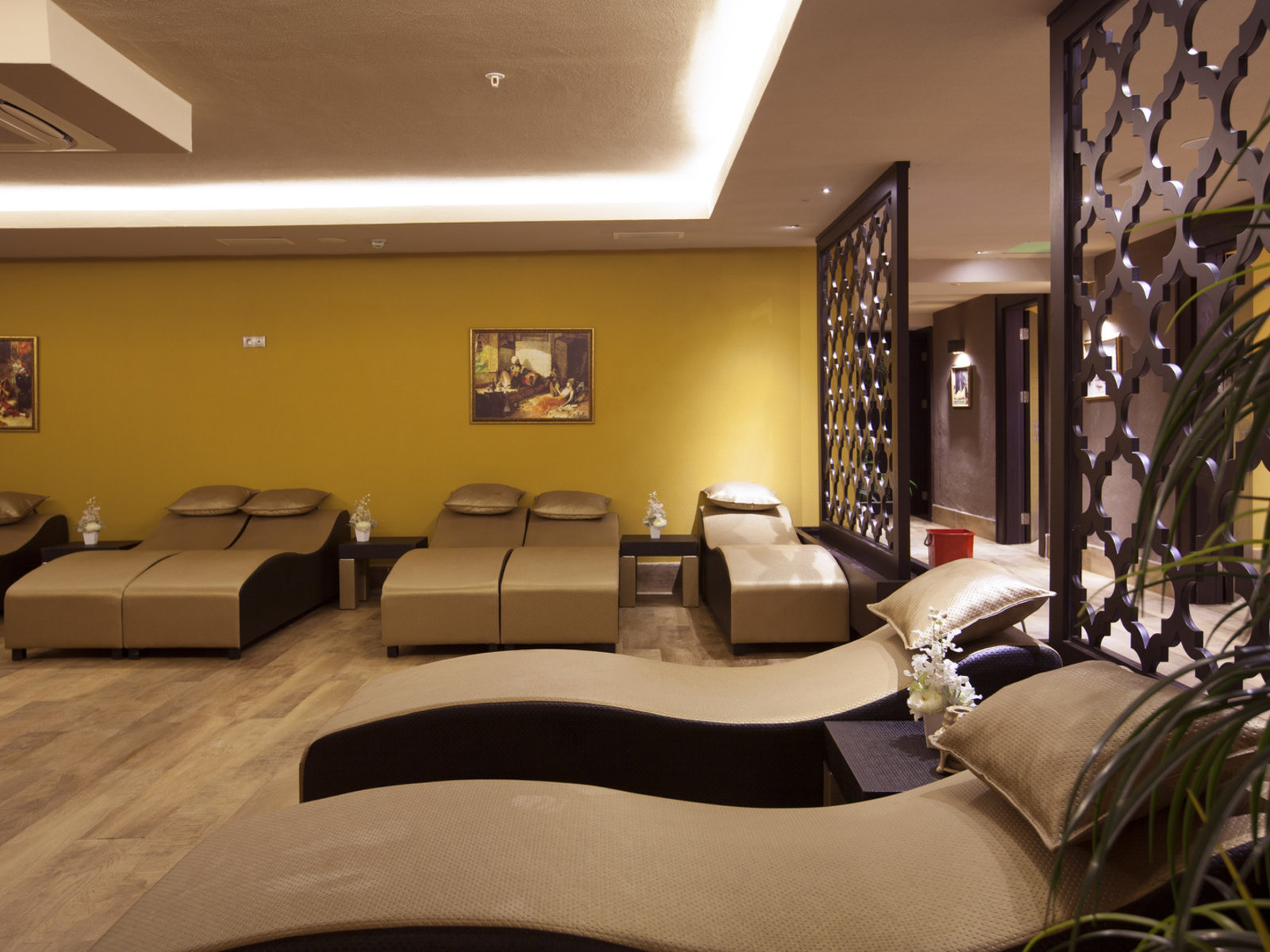 Wellness