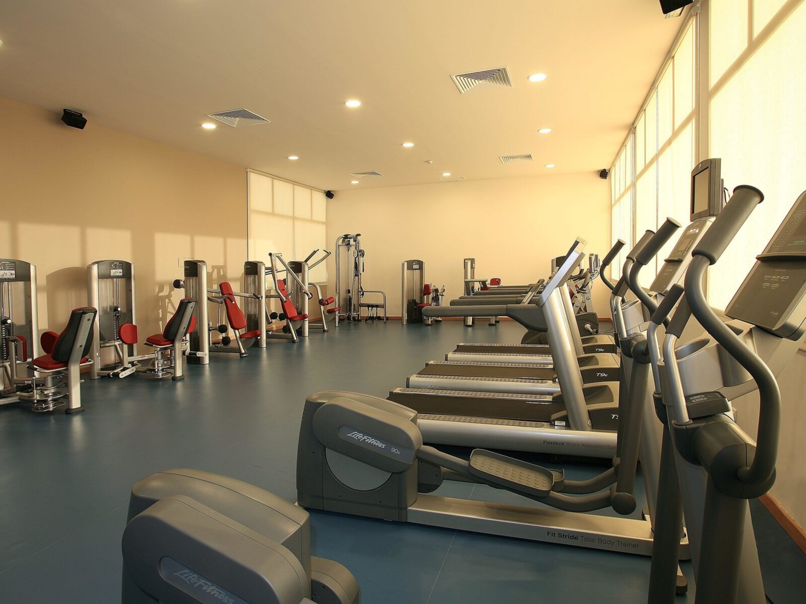 Sport