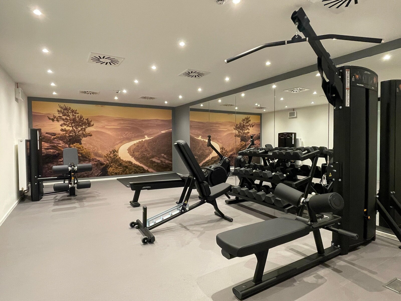 Sport