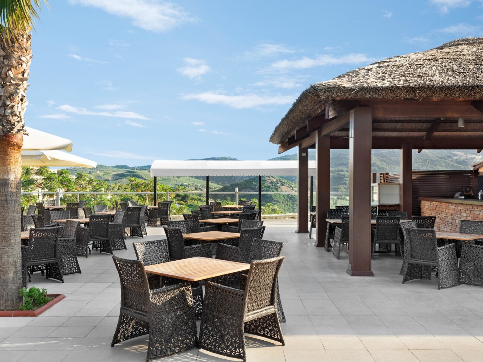 Palm Restaurant
