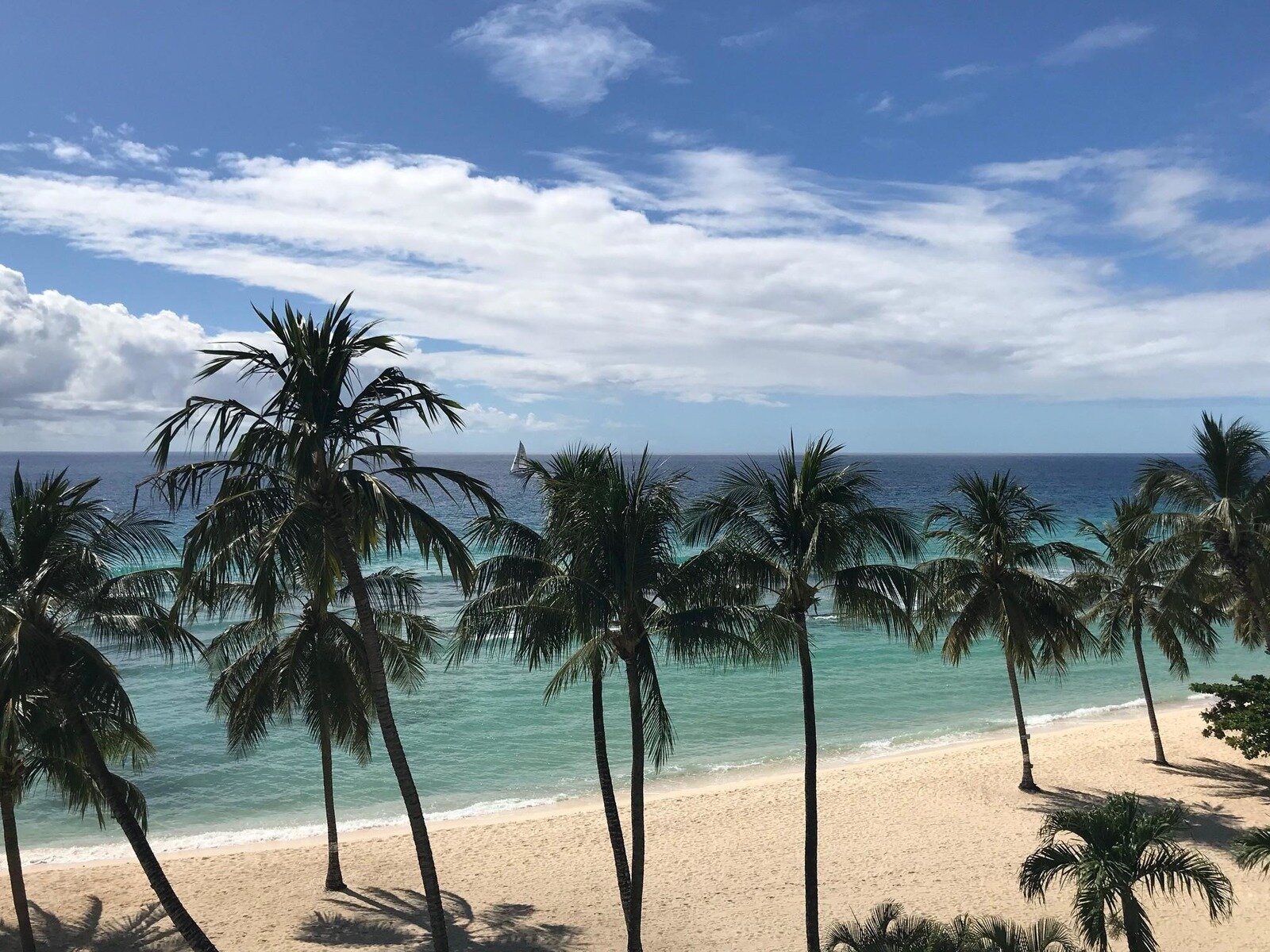 Coconut Court Beach Hotel Beach