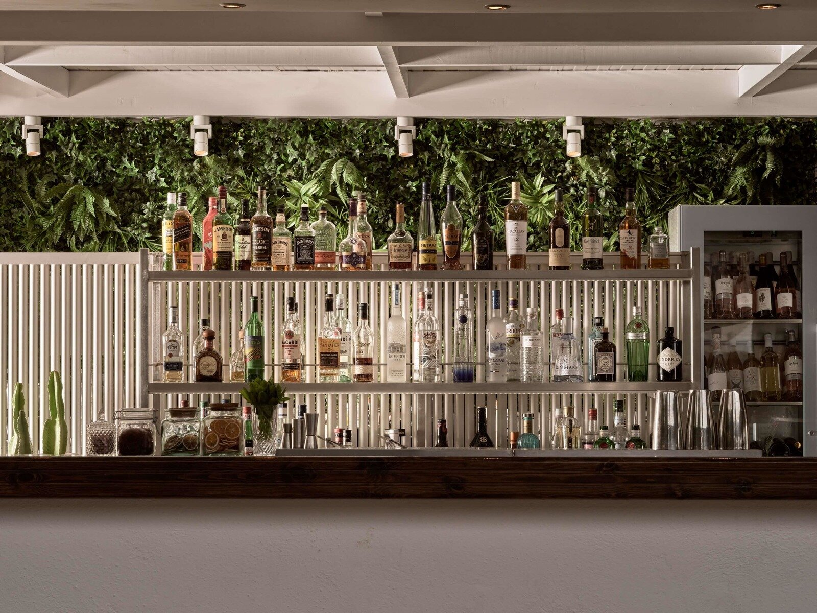 Mellow Bar