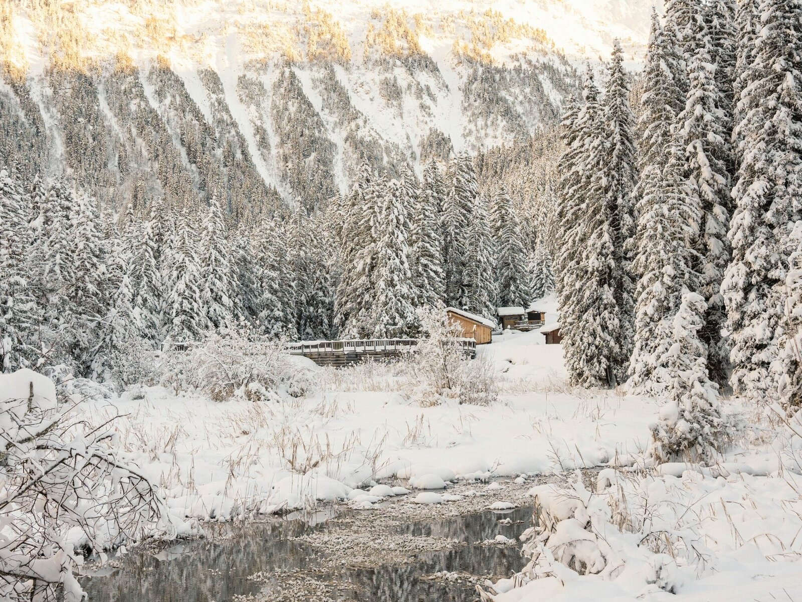Wintersport