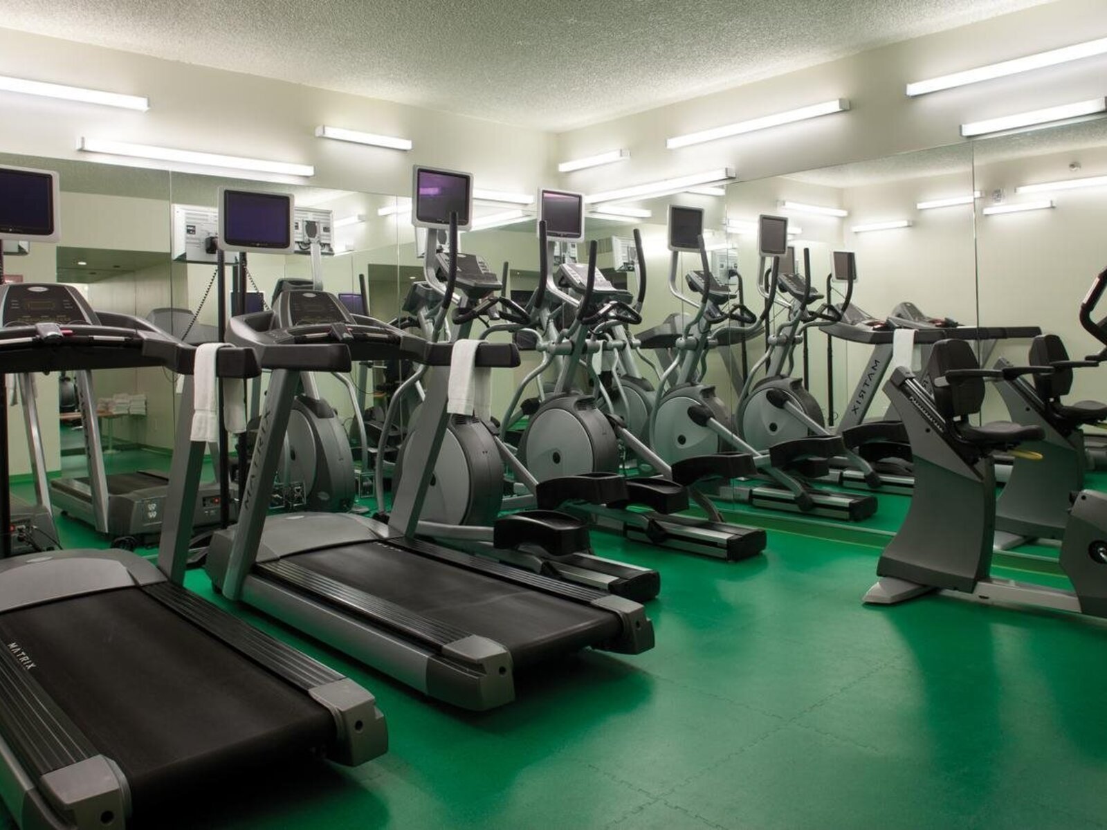 Sport