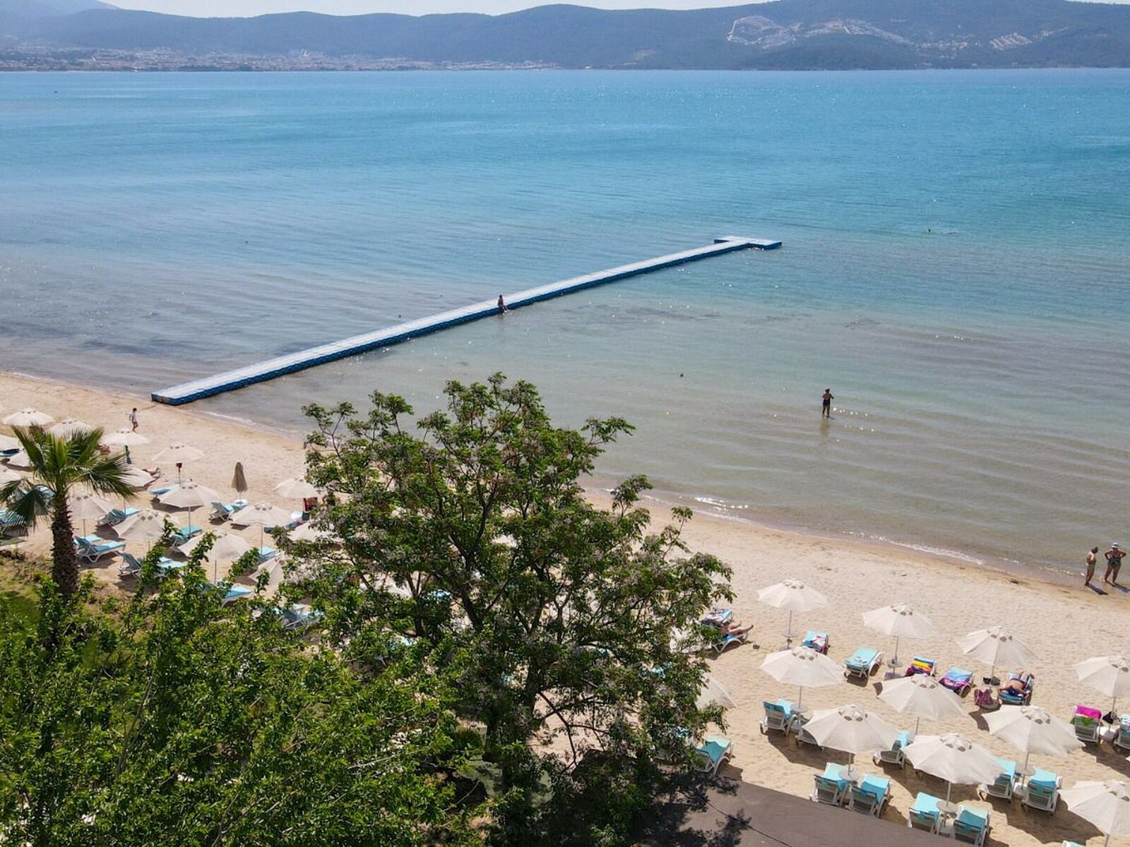 Strand