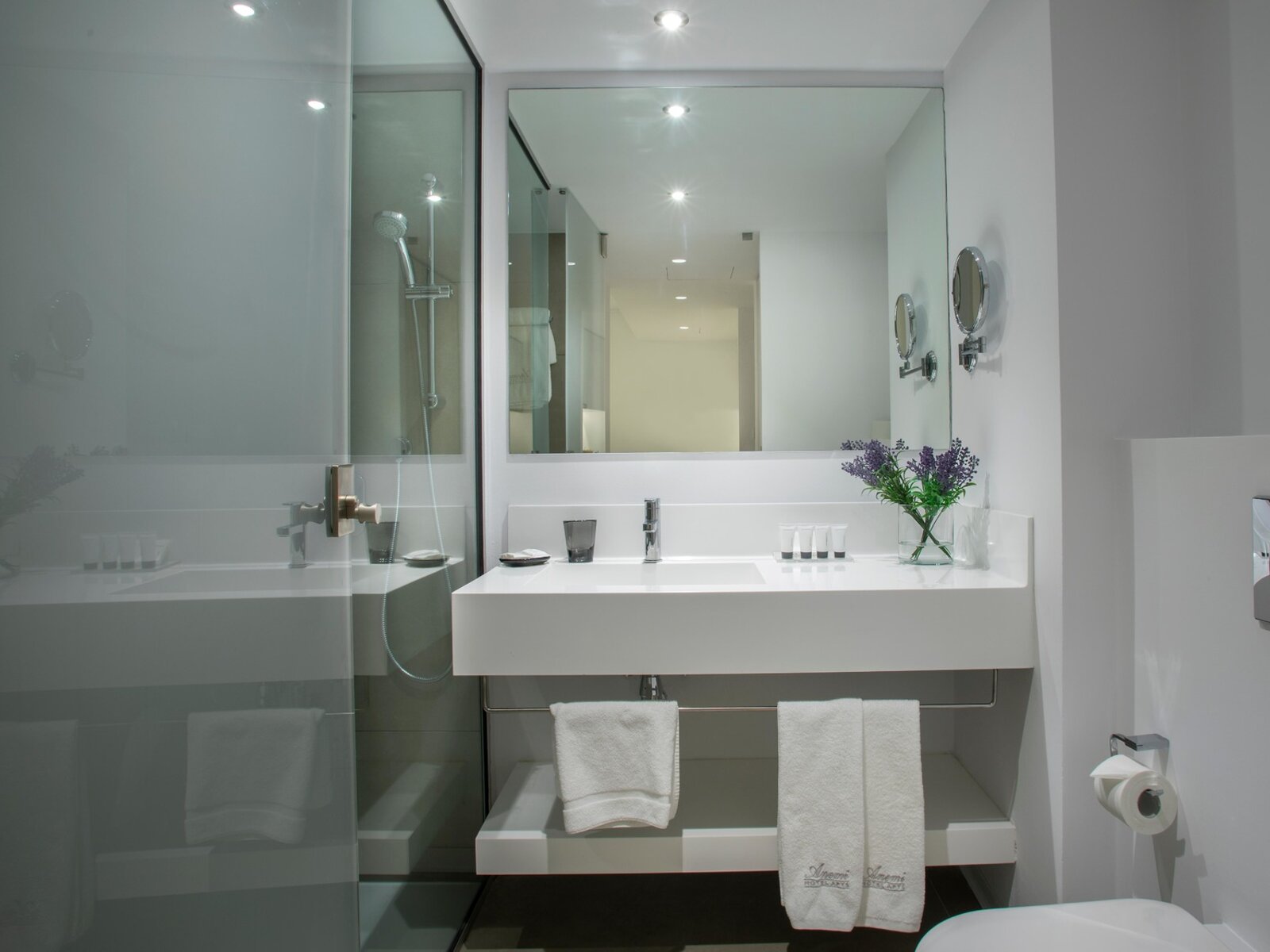 deluxe one bedroom Apartment