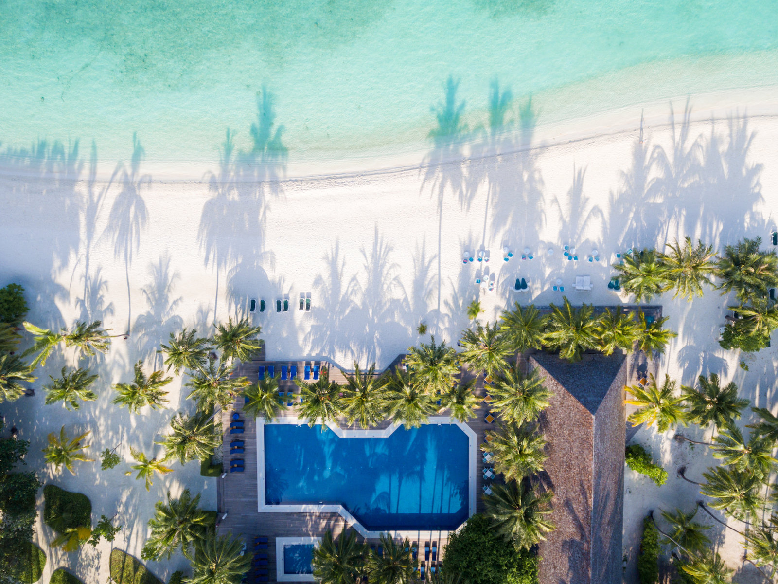 The Dhoni Bar Pool