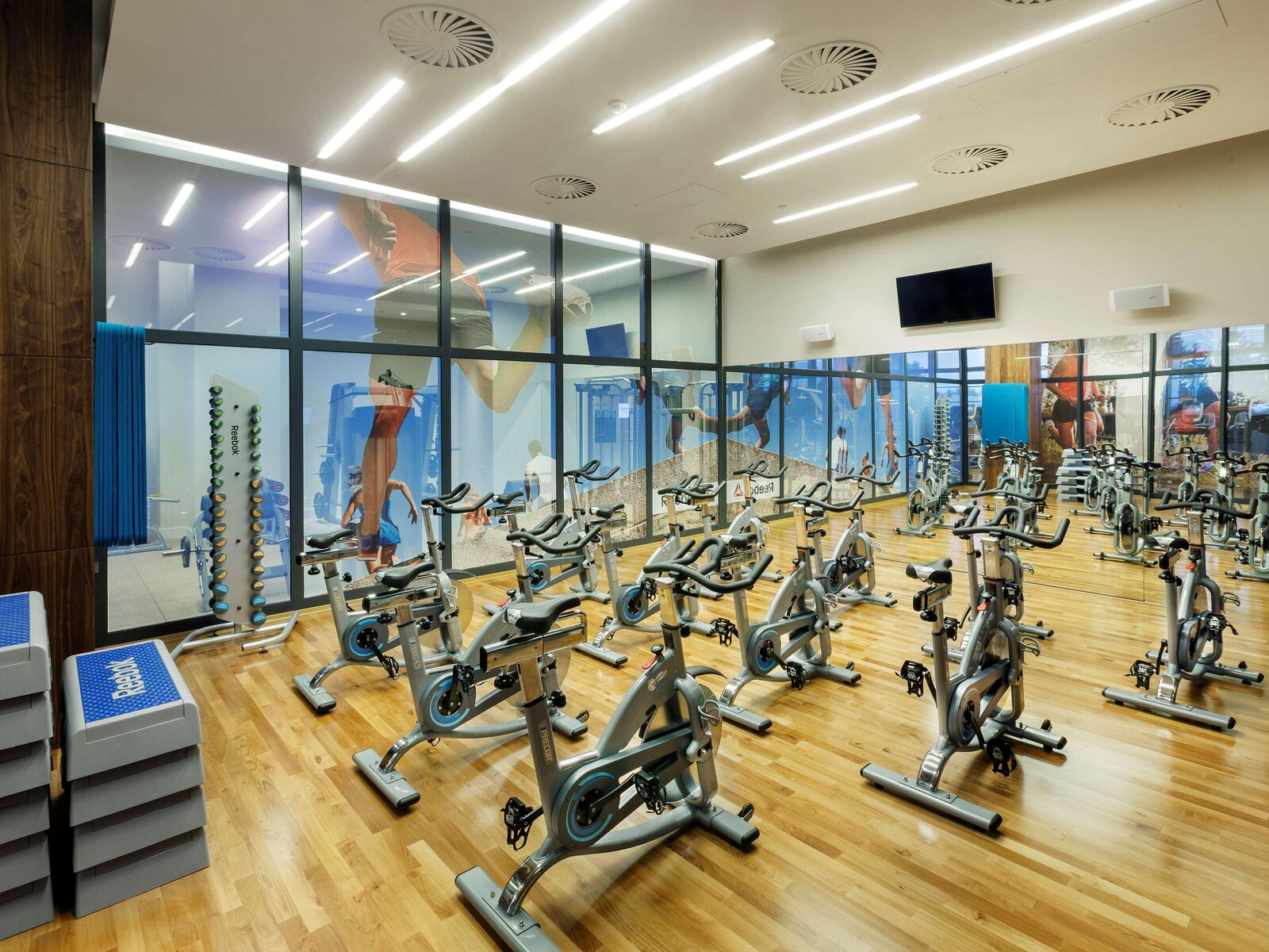 Sport