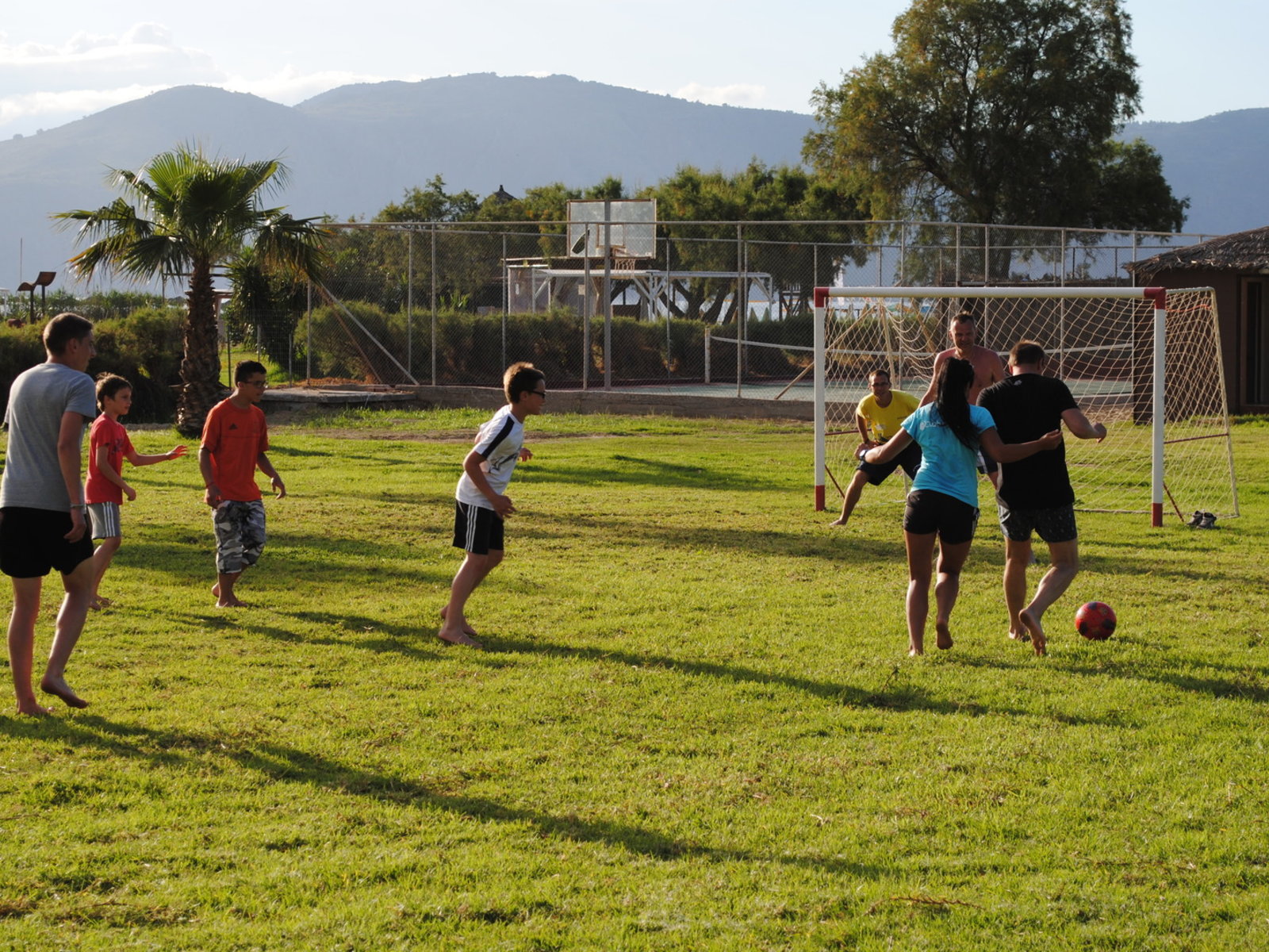 Sport