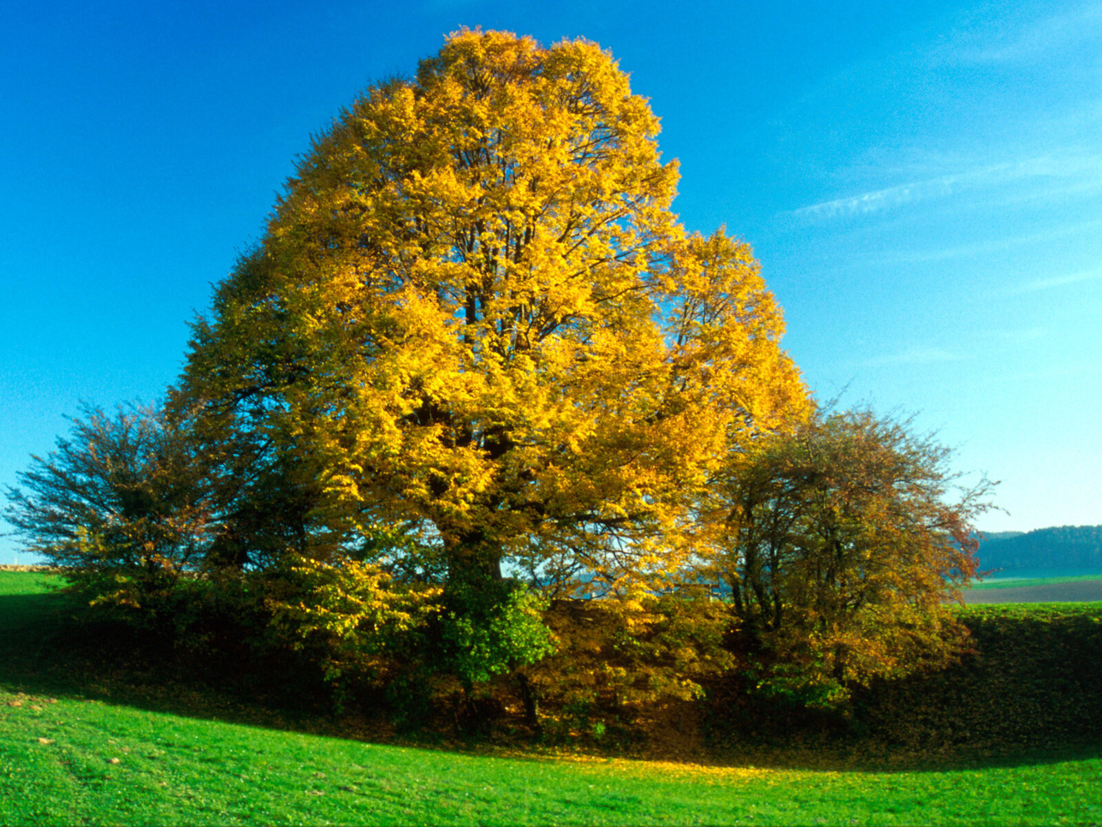 Landschaft