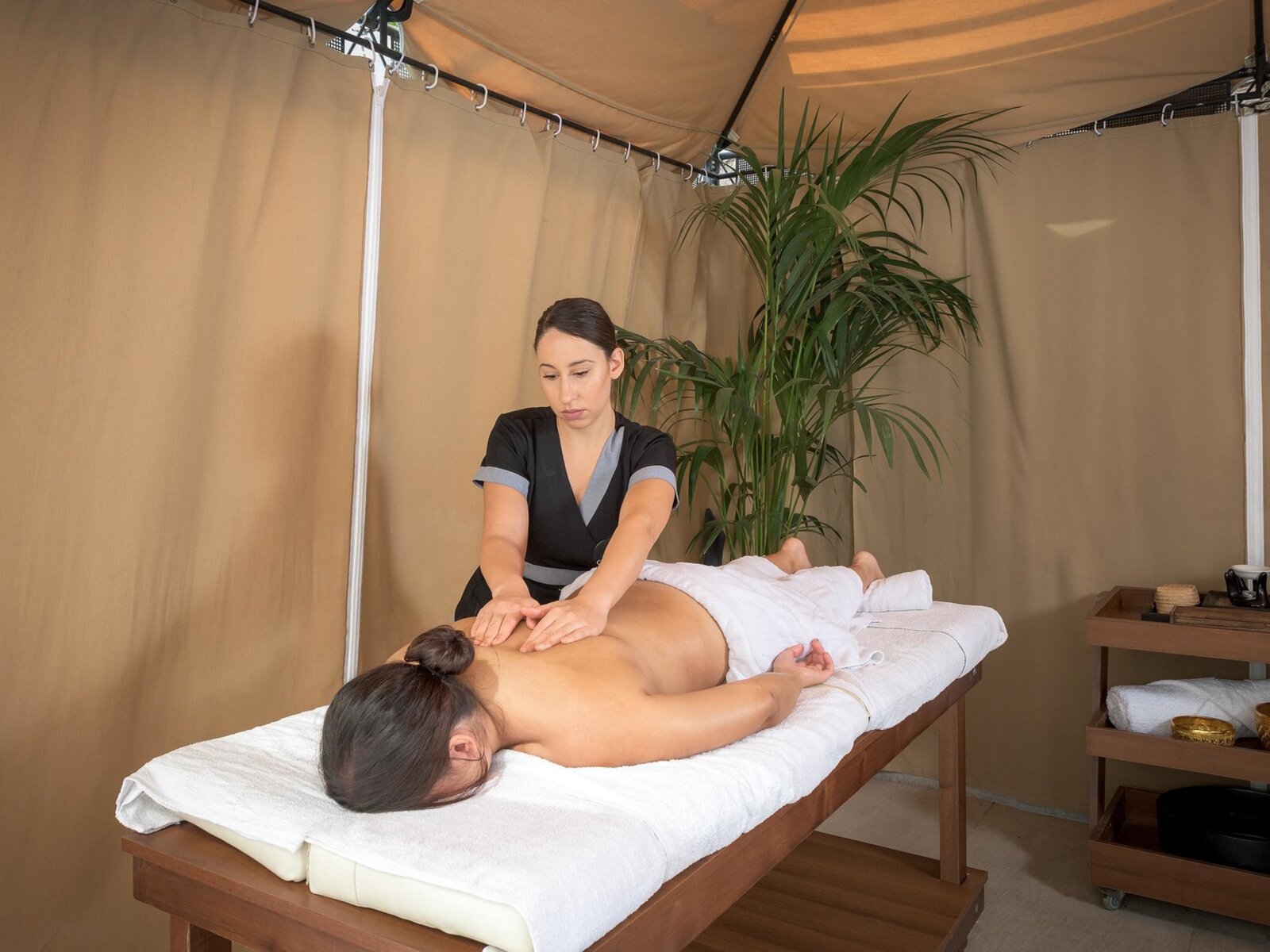 Wellness