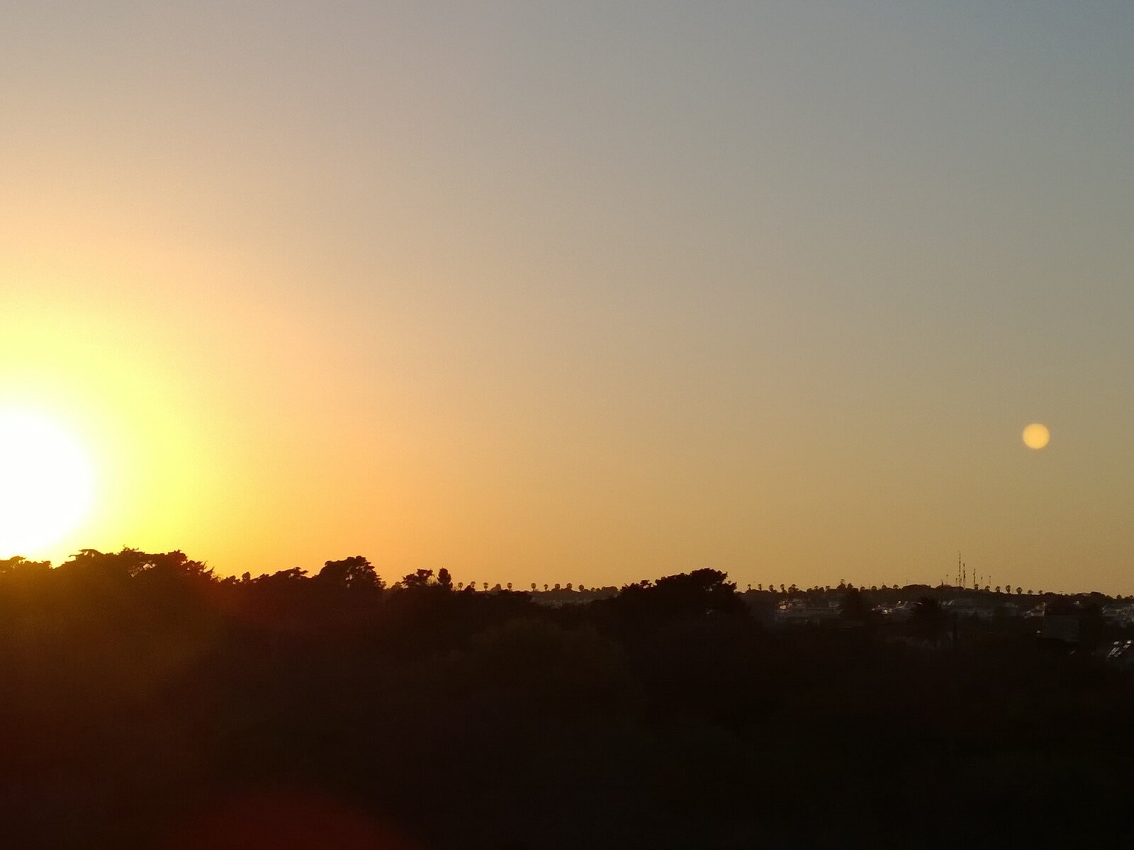 Landschaft