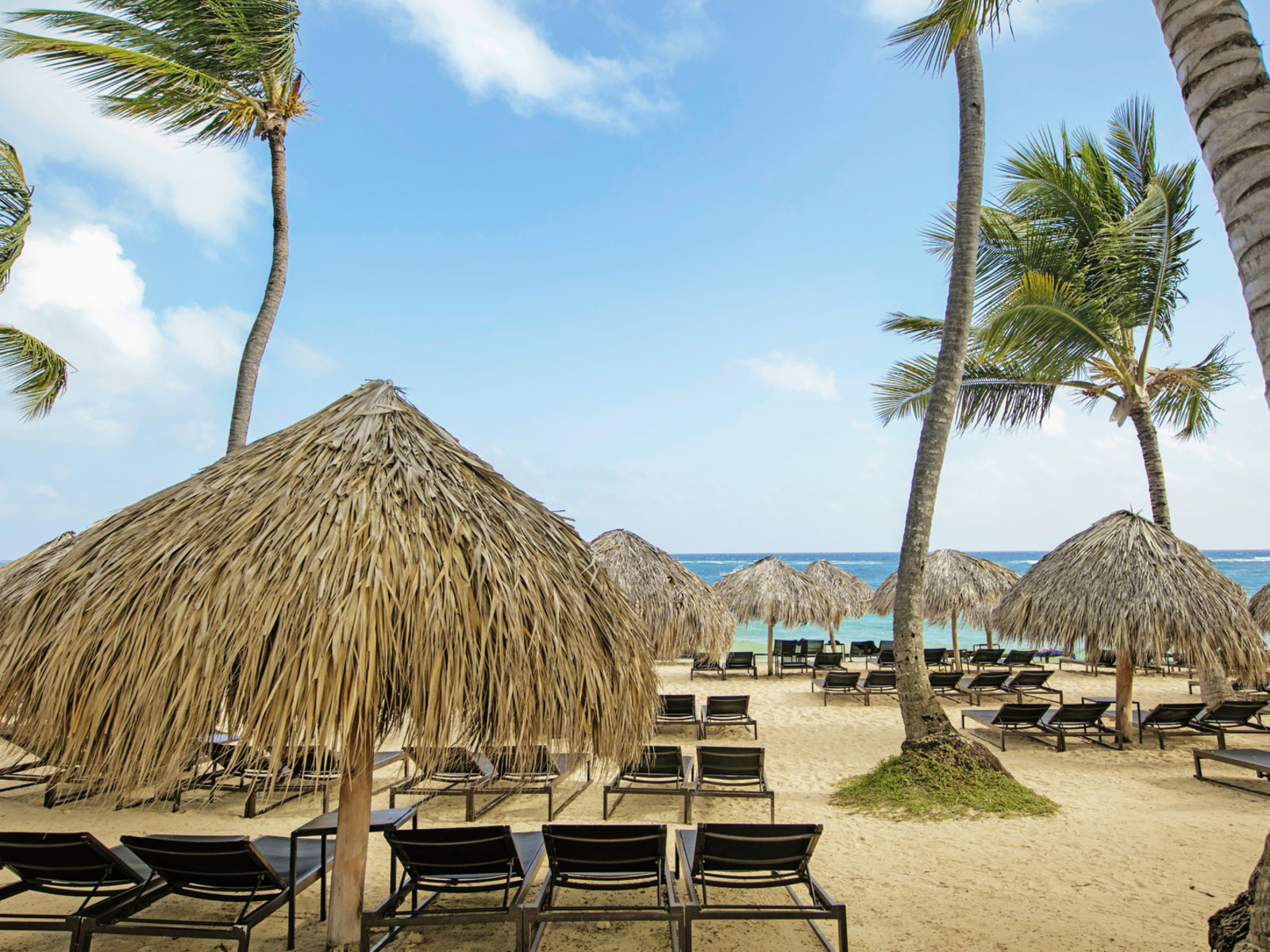 Bavaro