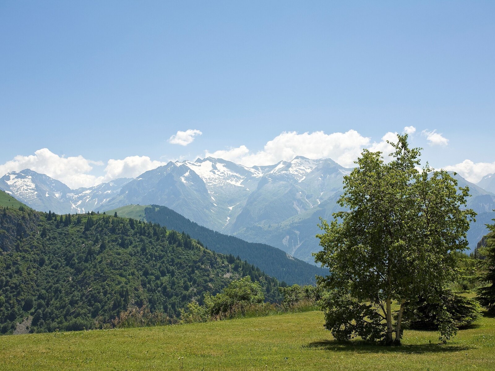 Landschaft