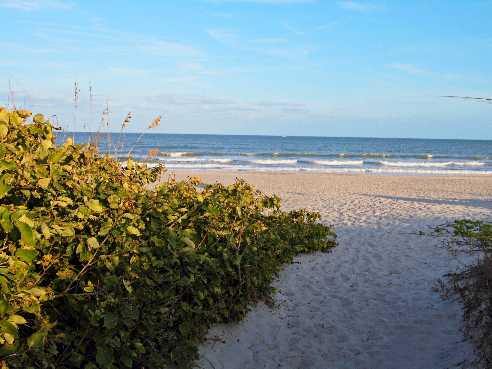 Strand