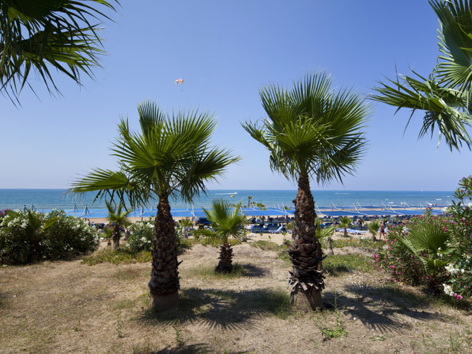 Strand