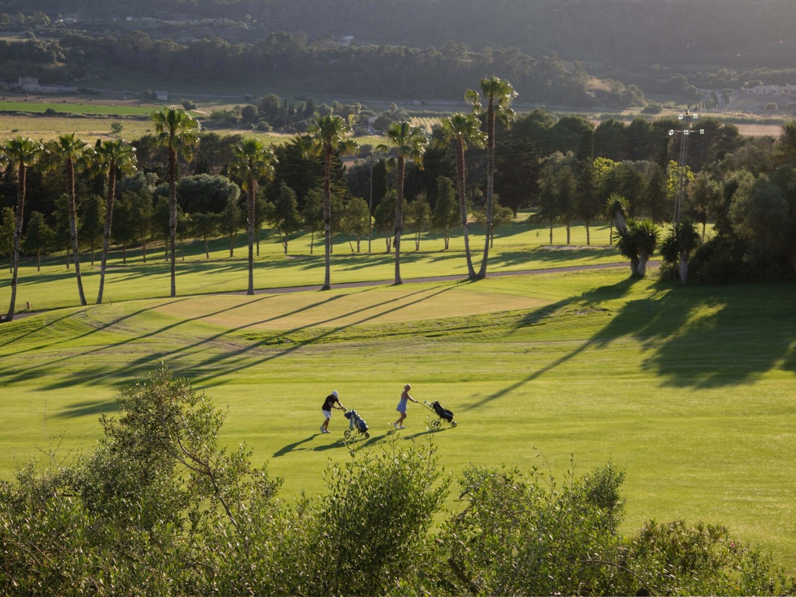Golf