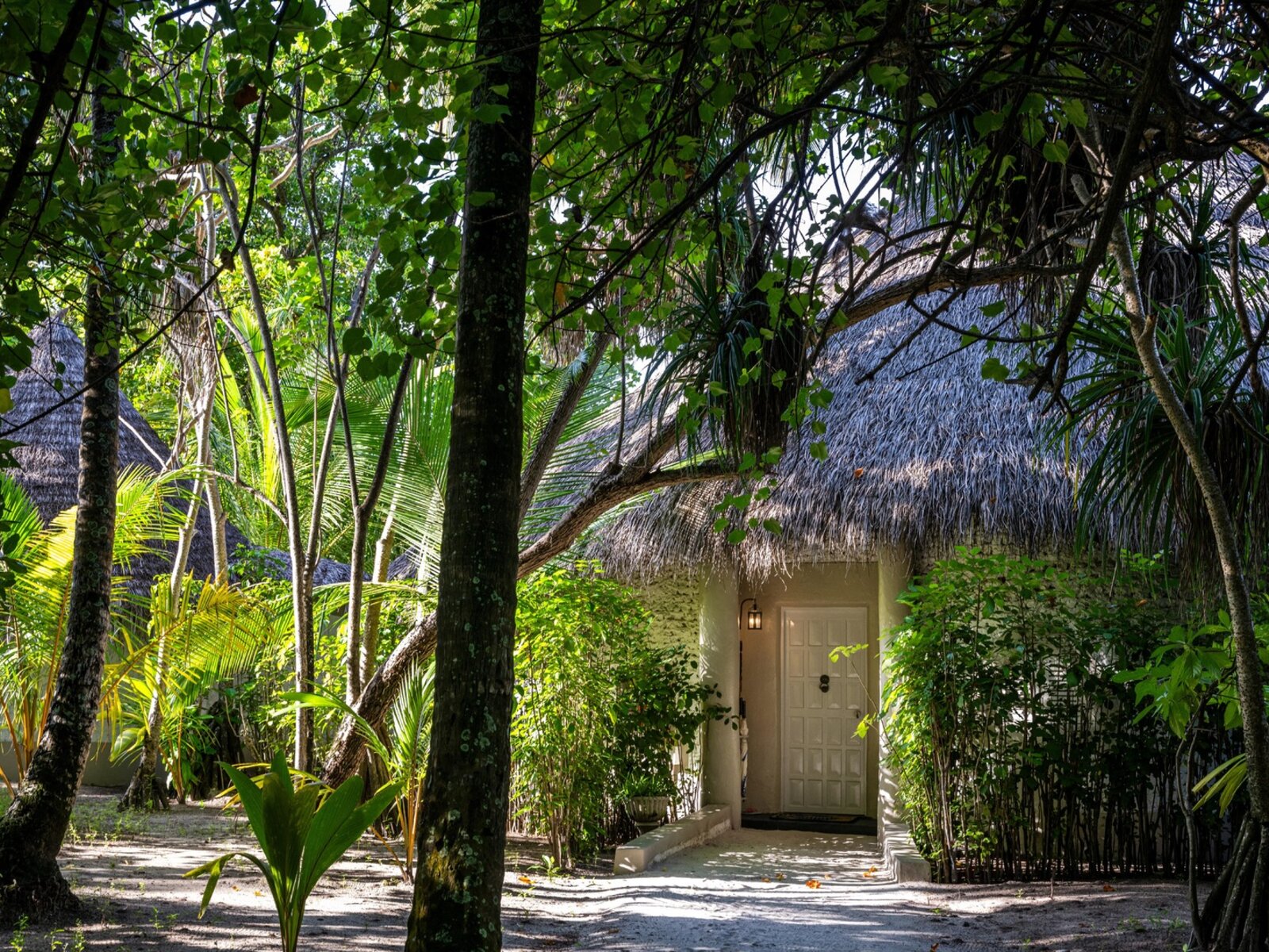 Wohnbeispiel Deluxe Beach Villa