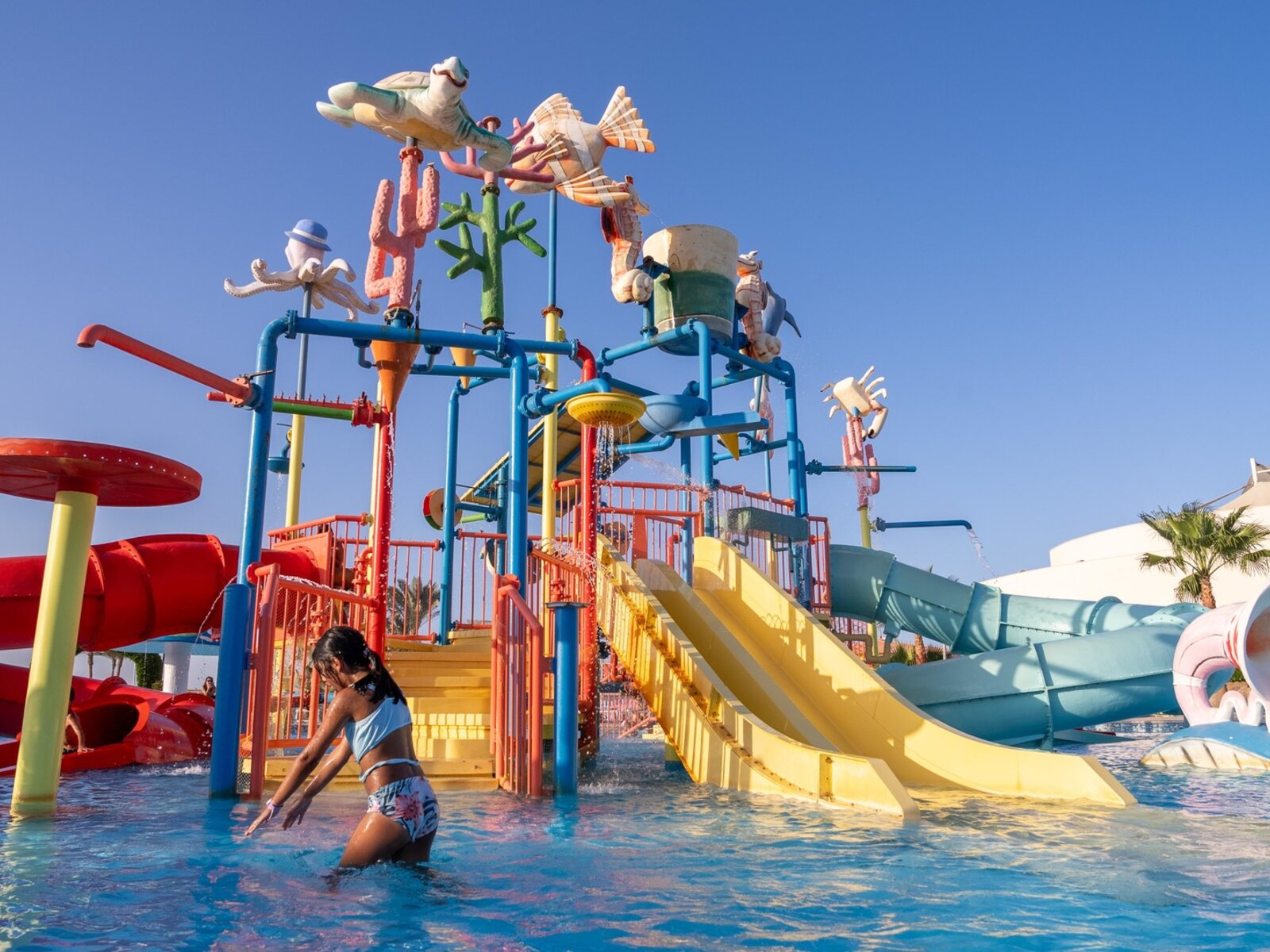 Water Slides