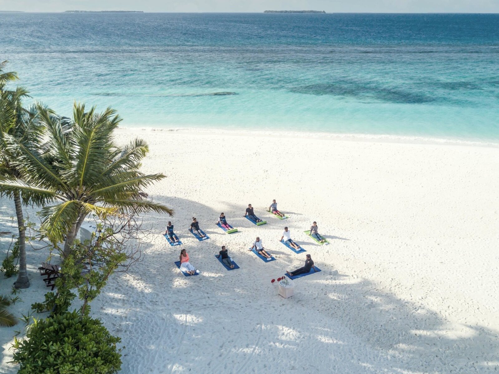 Wellness
