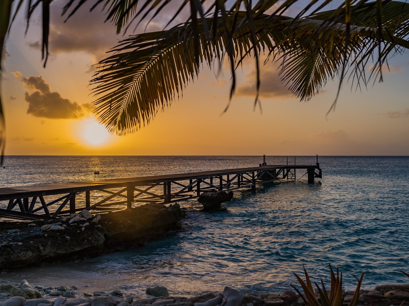 Delfins Private Beach