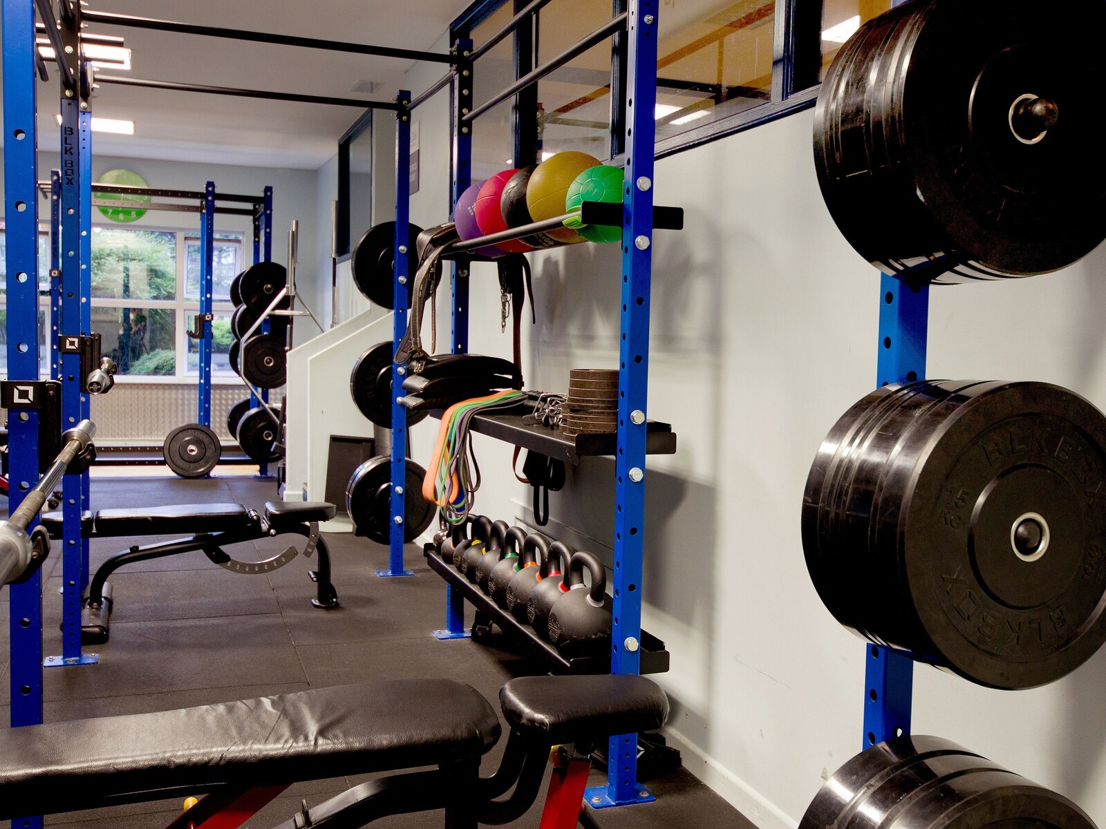 Sport