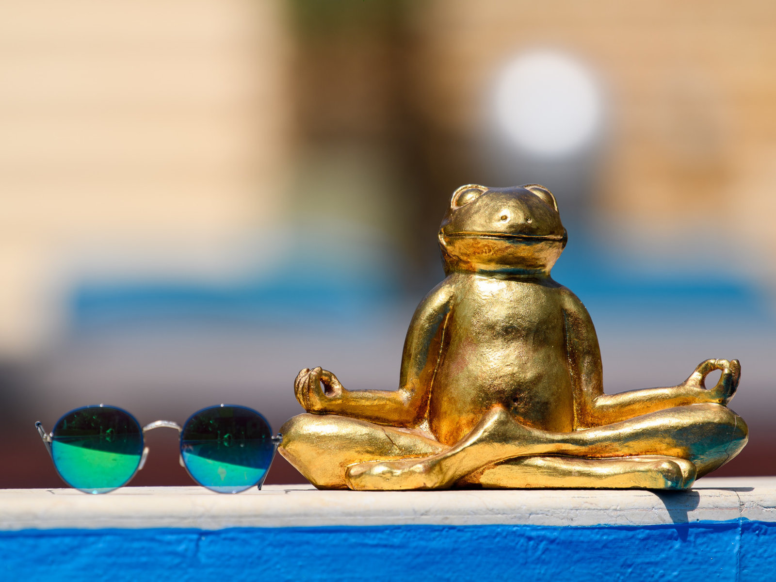 Golden Frog