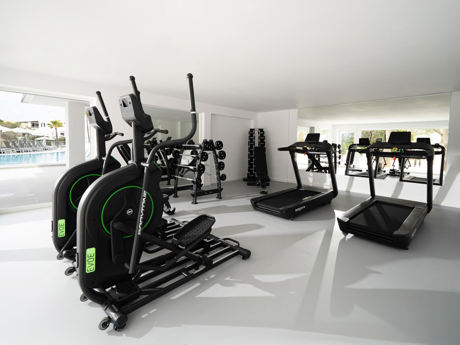 Sport