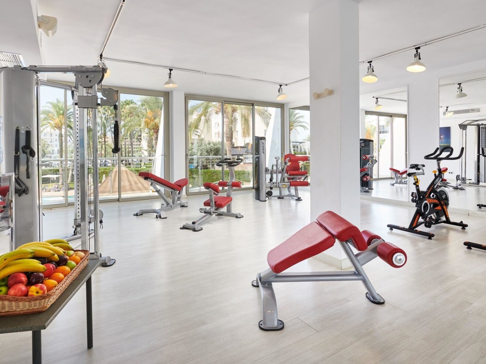 Sport