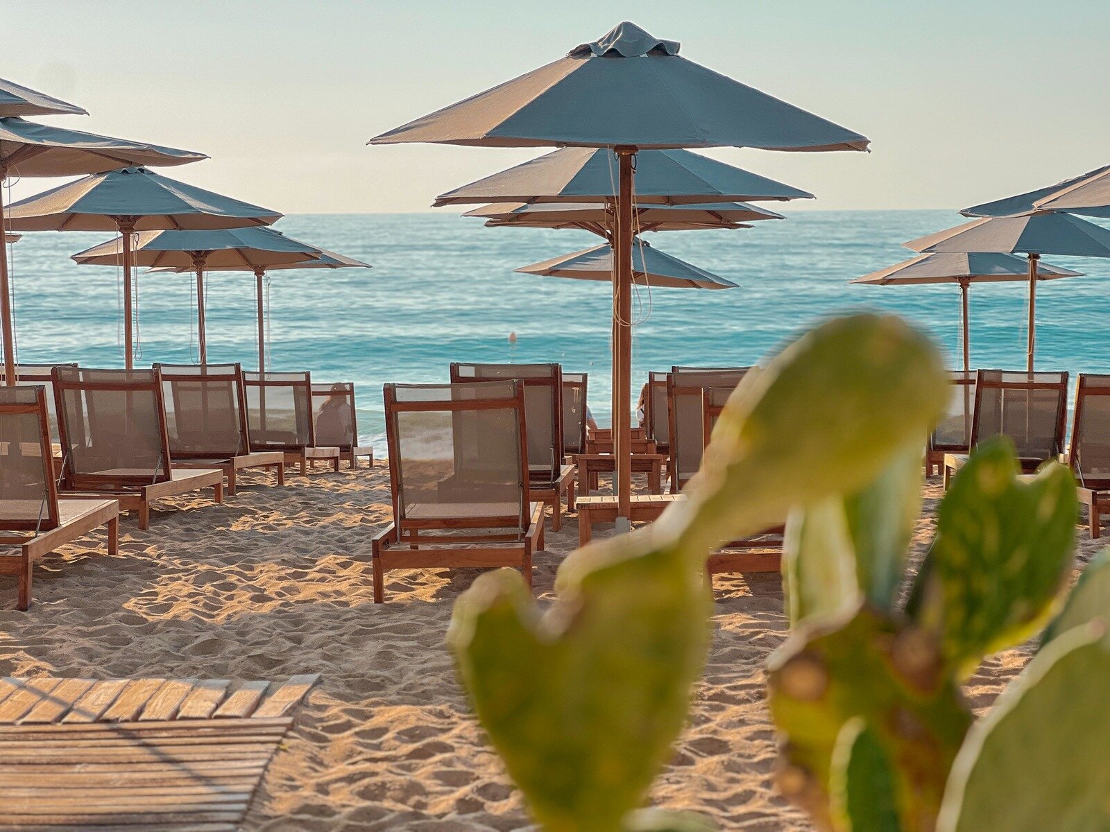 GRIFID Beach