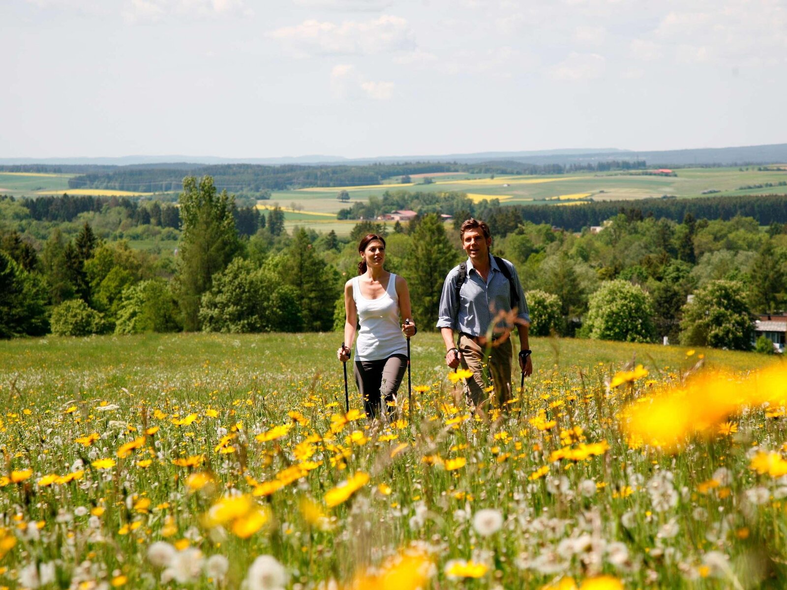 Landschaft