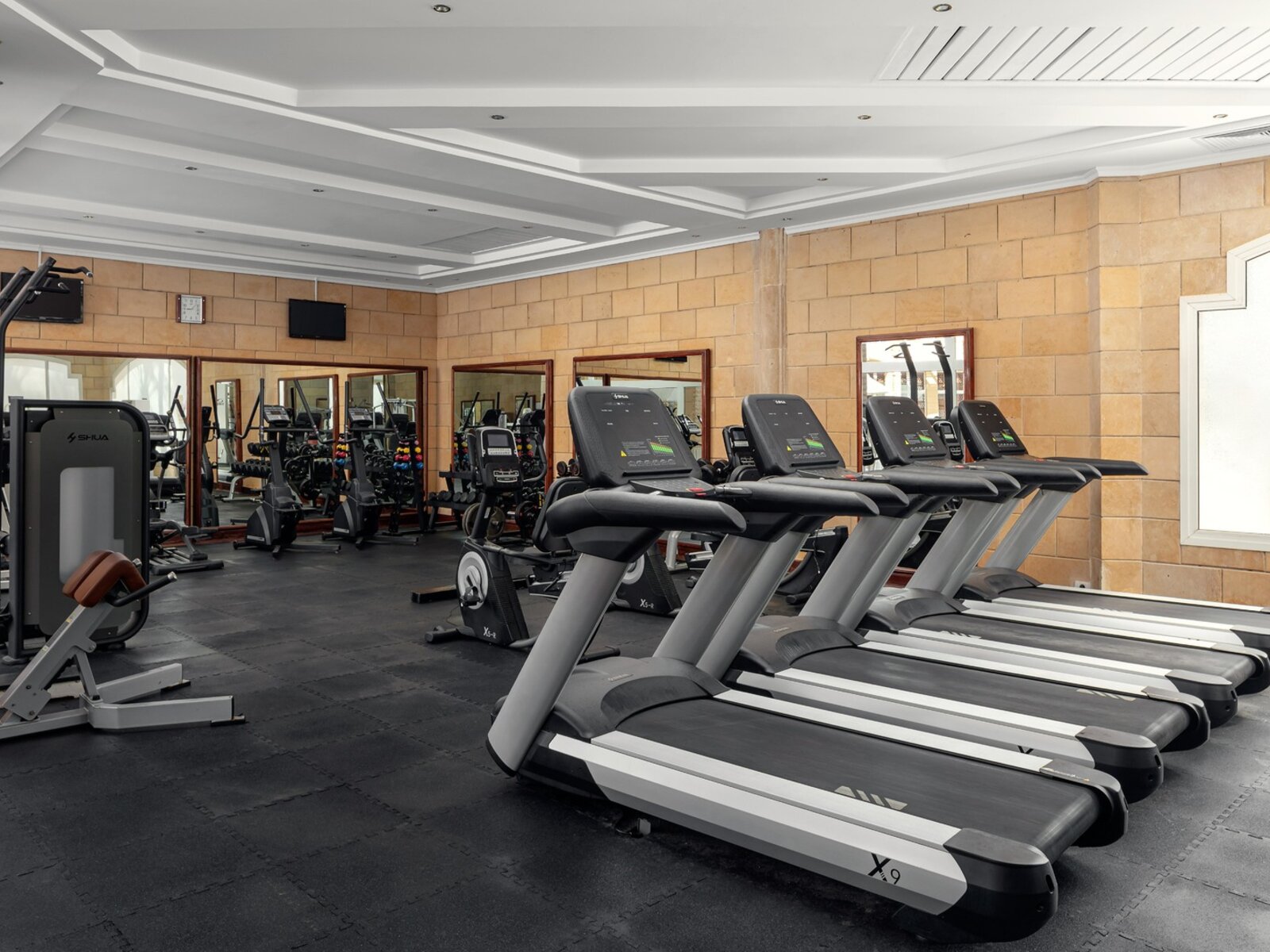 Sport