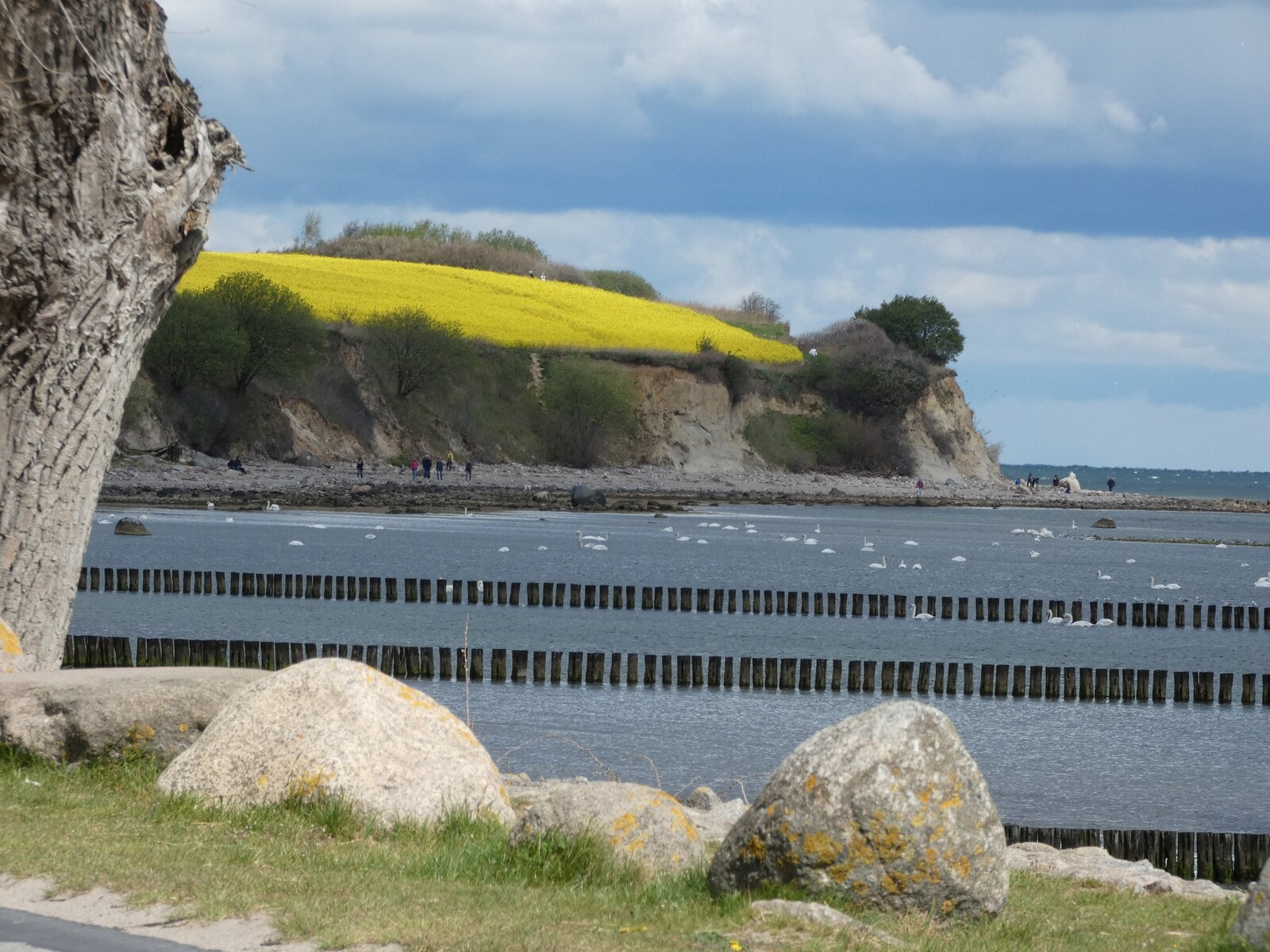 Landschaft