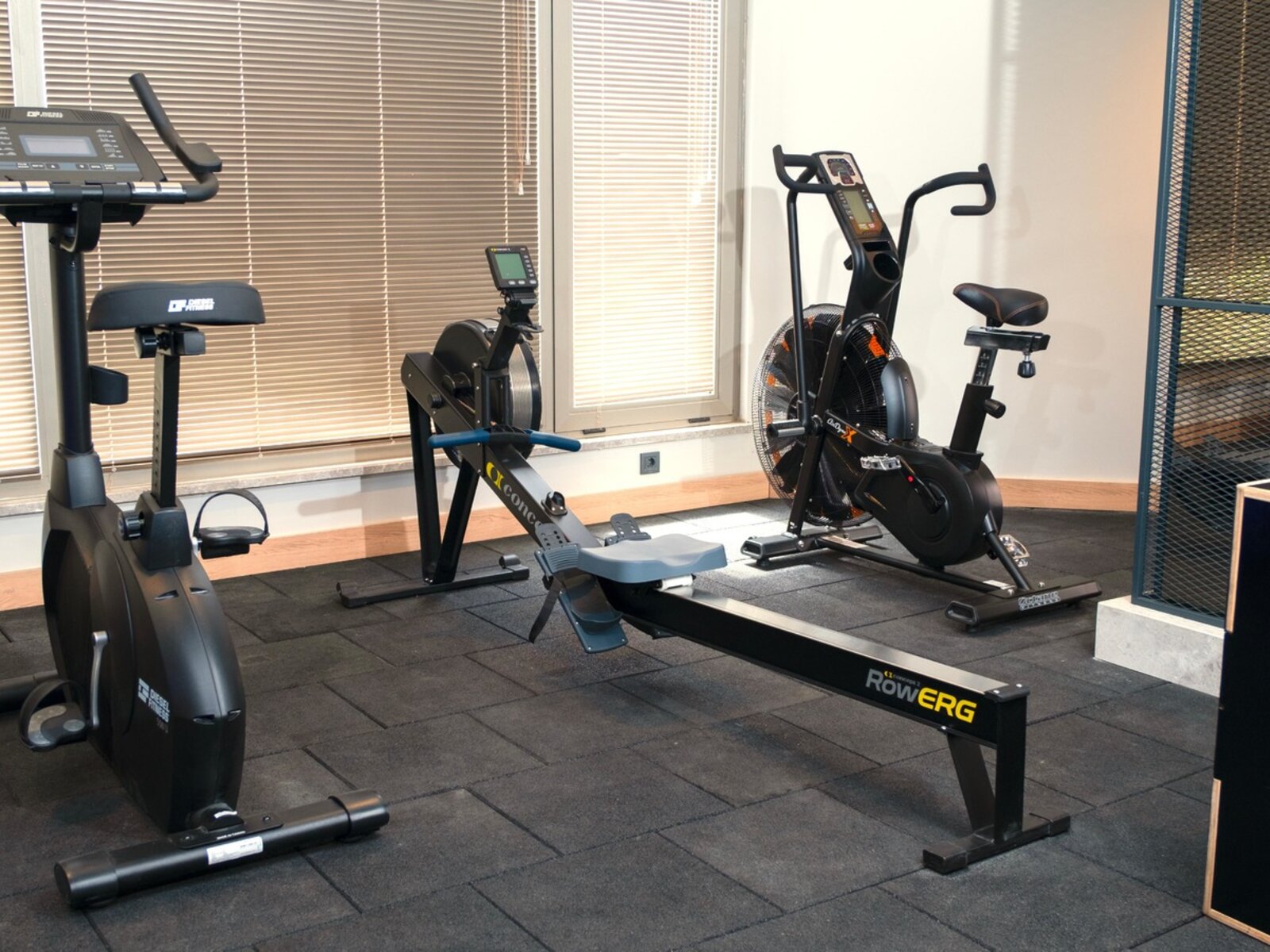 Sport