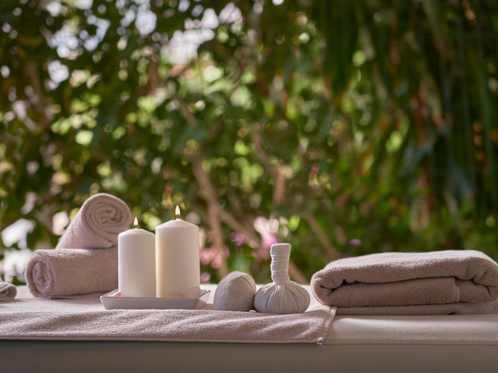 Wellness