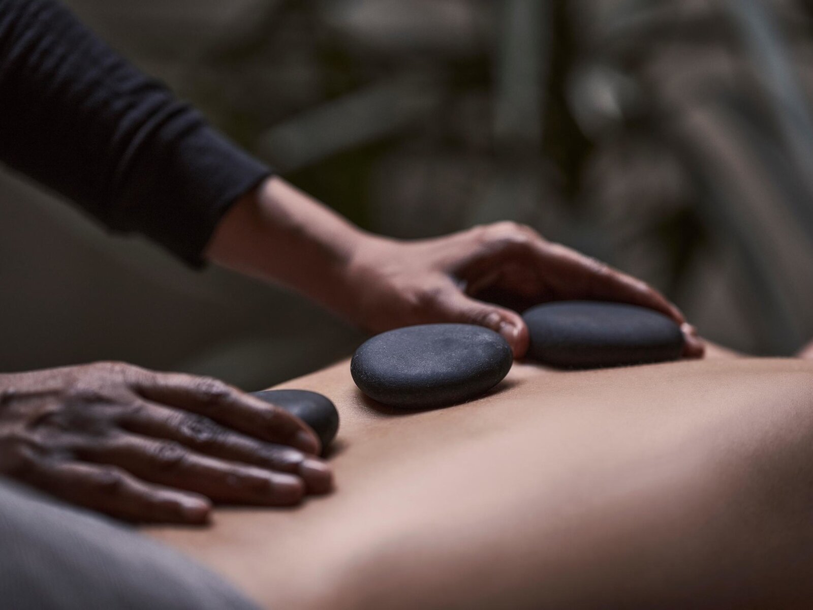 Wellness