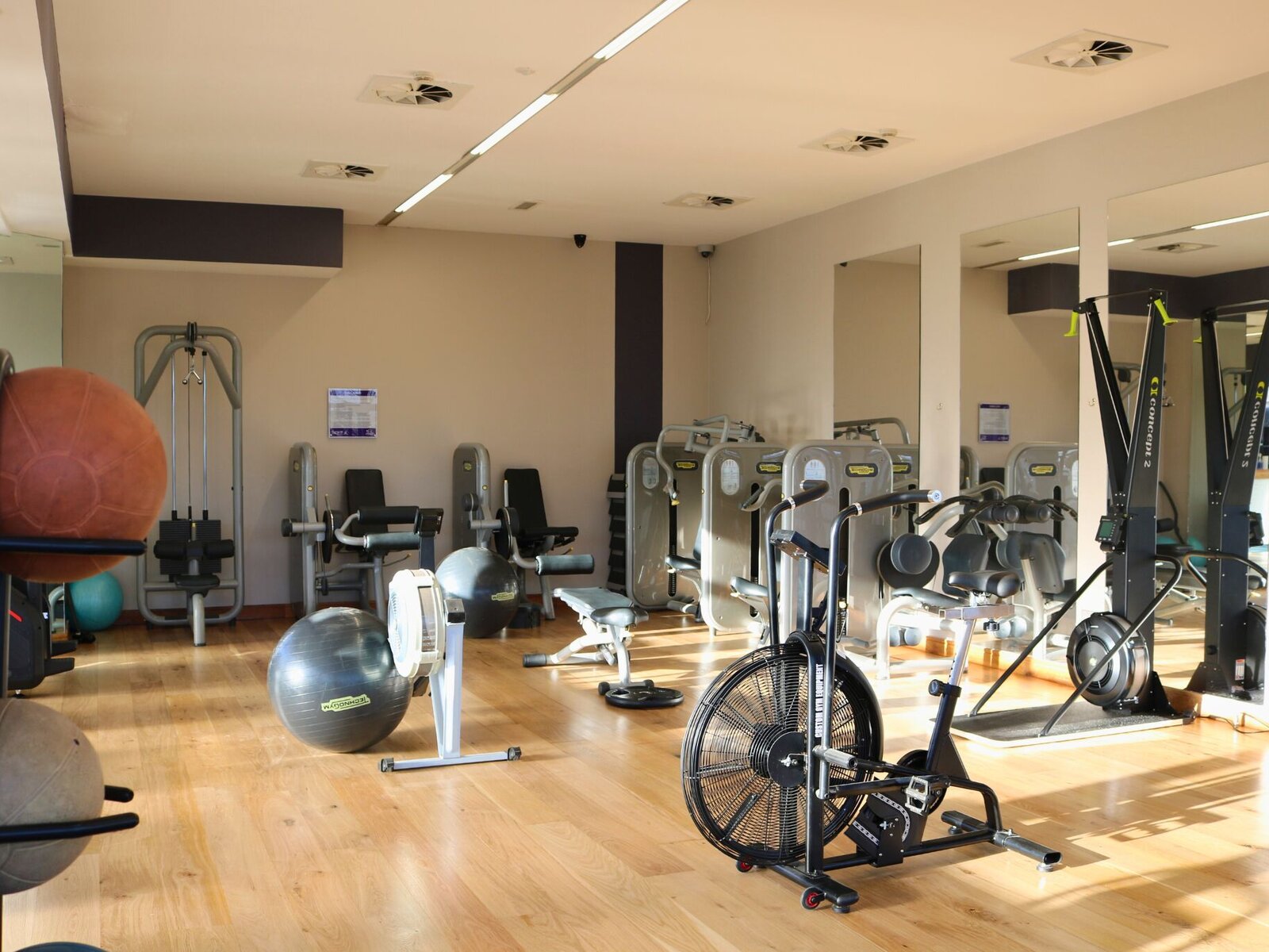Sport