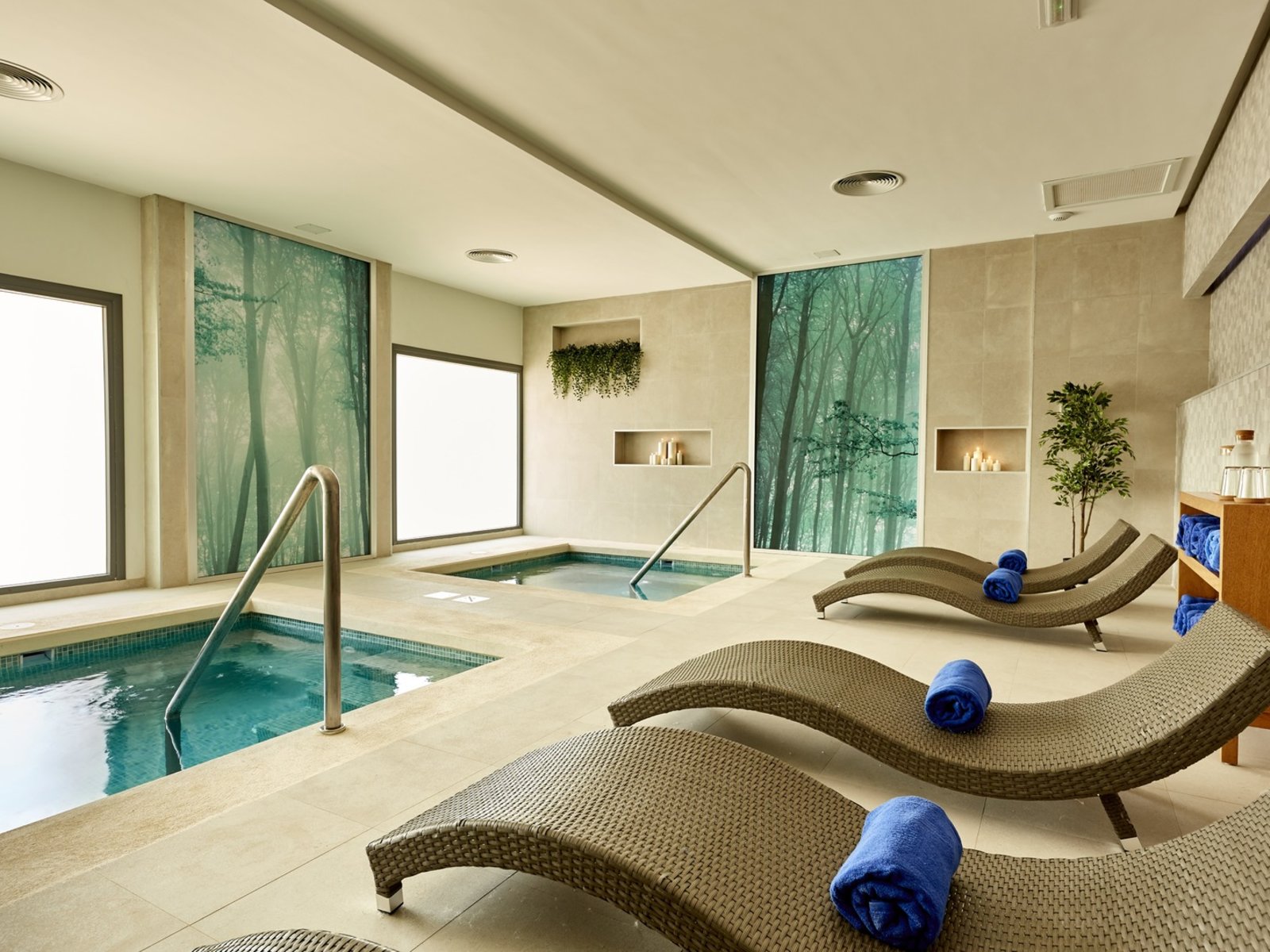 Wellness