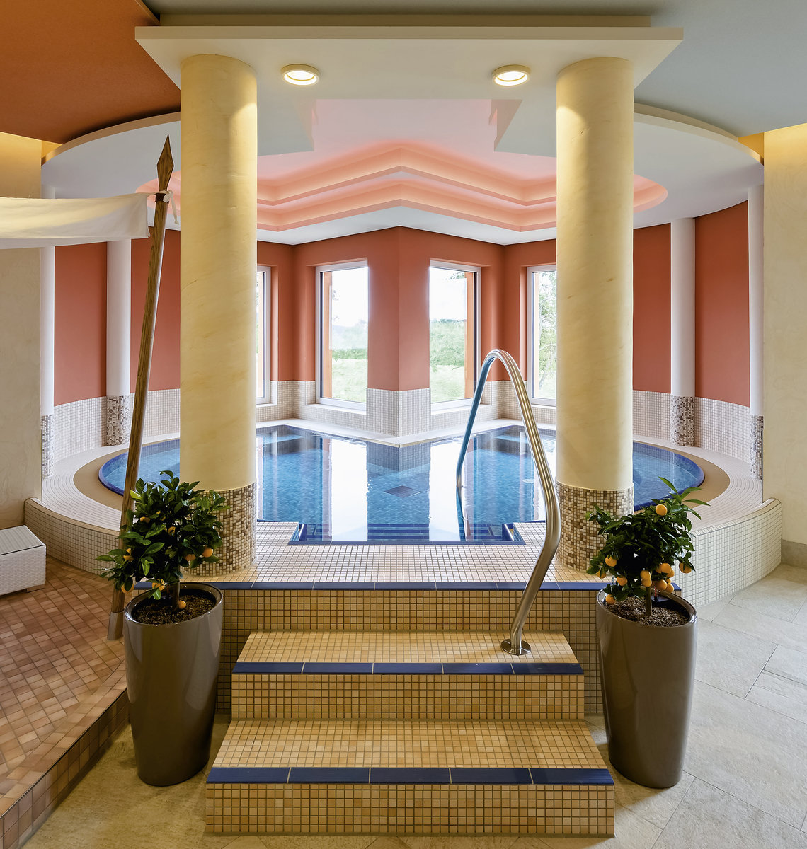 Wellness