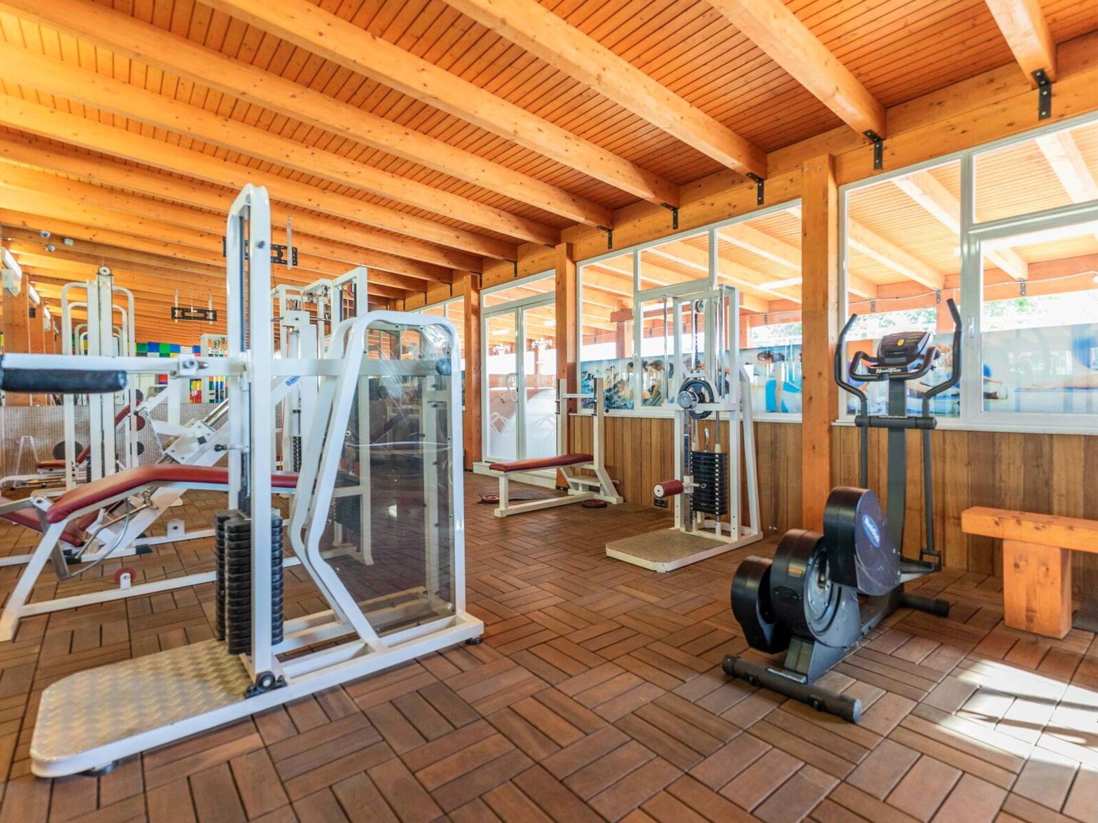 Sport