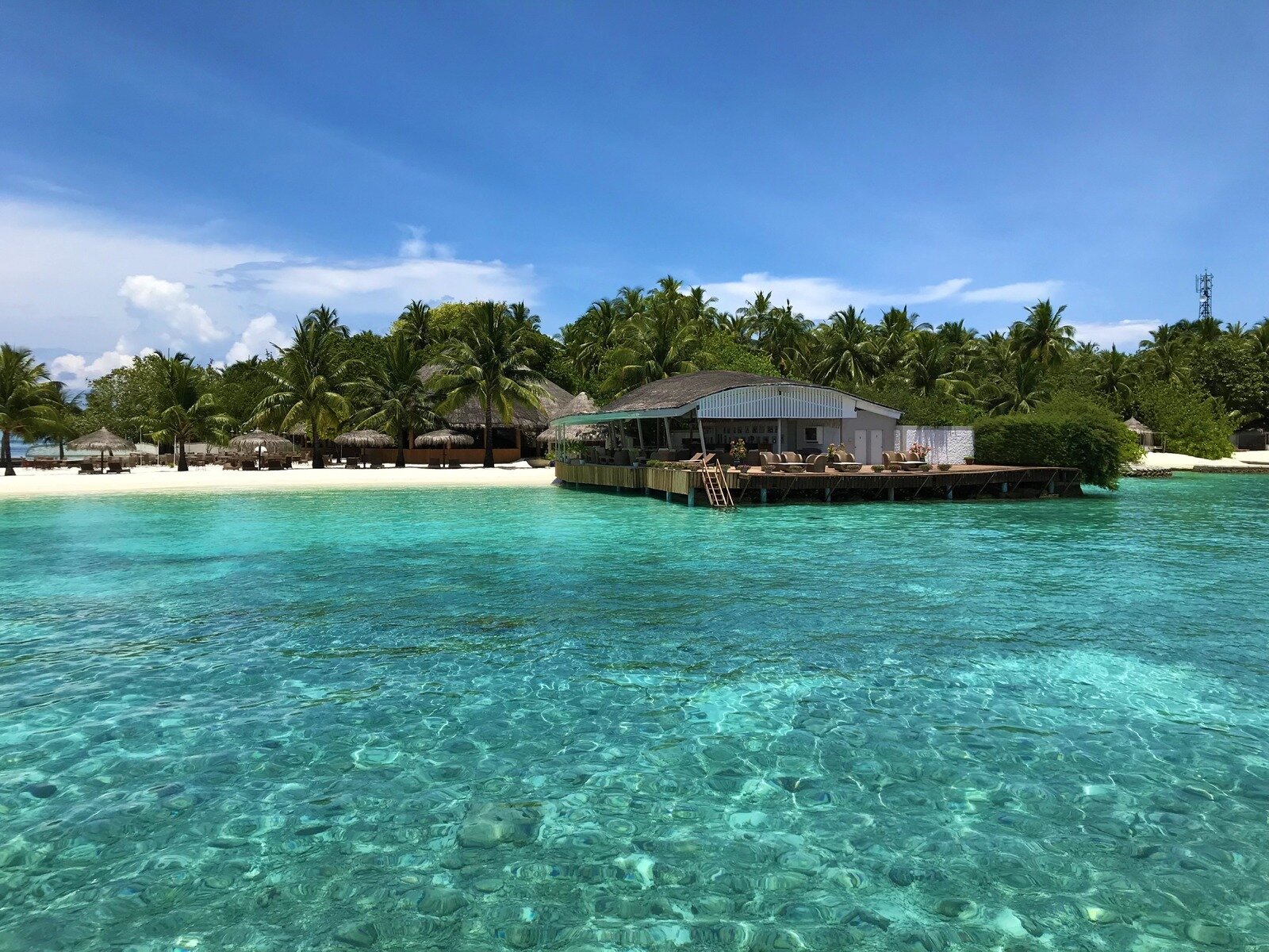 Acqua Alta Bar