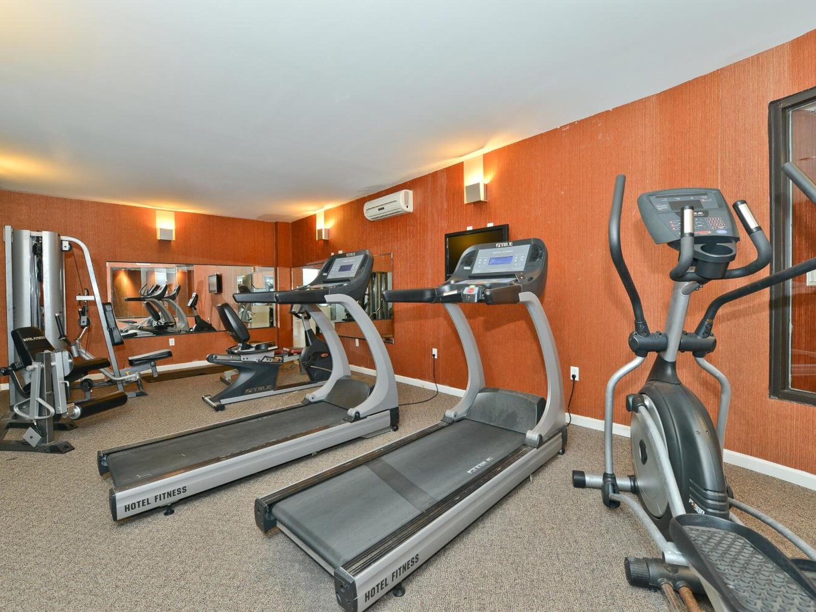 Sport