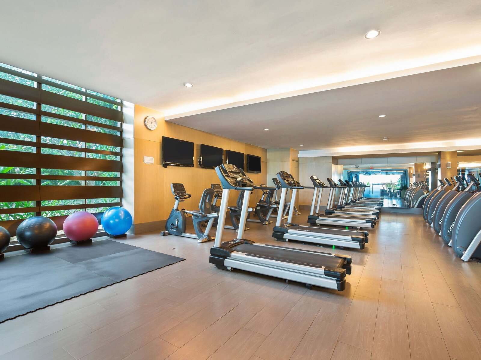 Sport