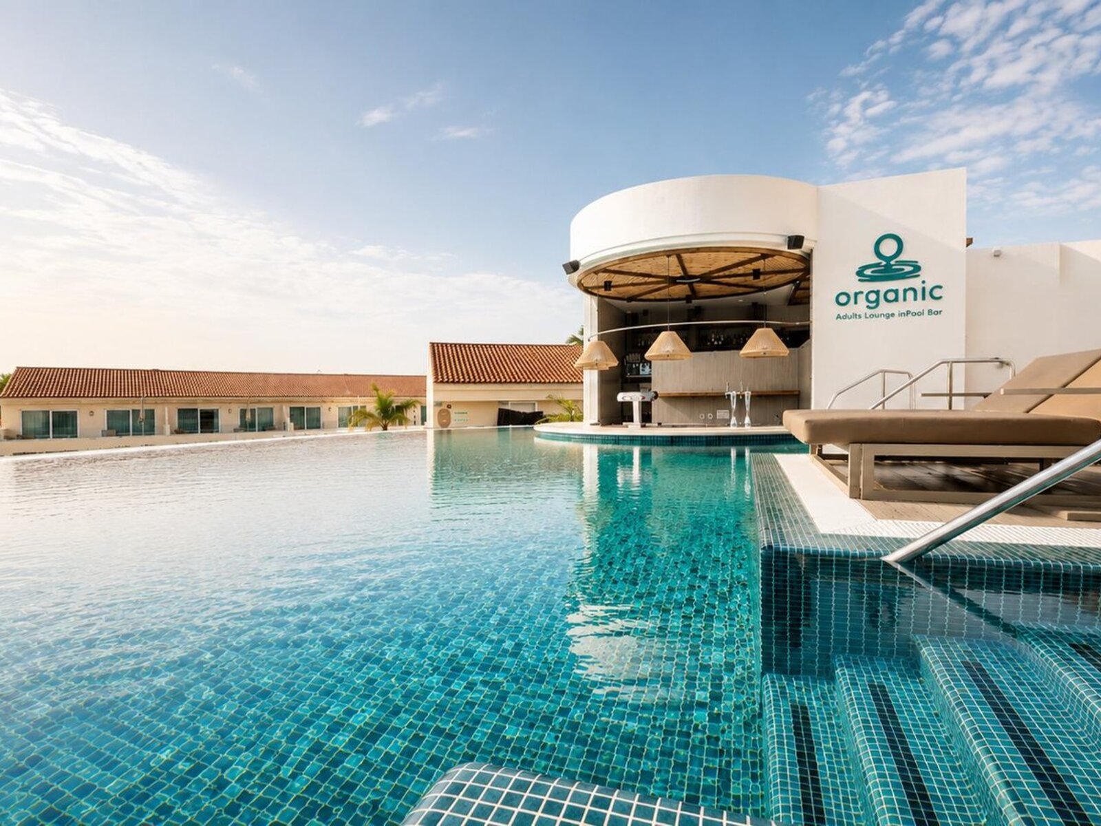 Organic Adults In Pool Bar