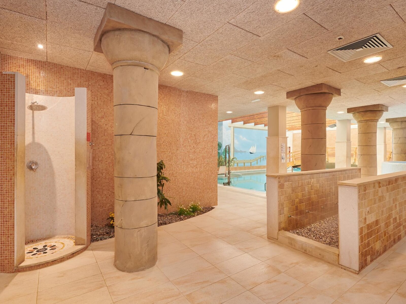 Wellness