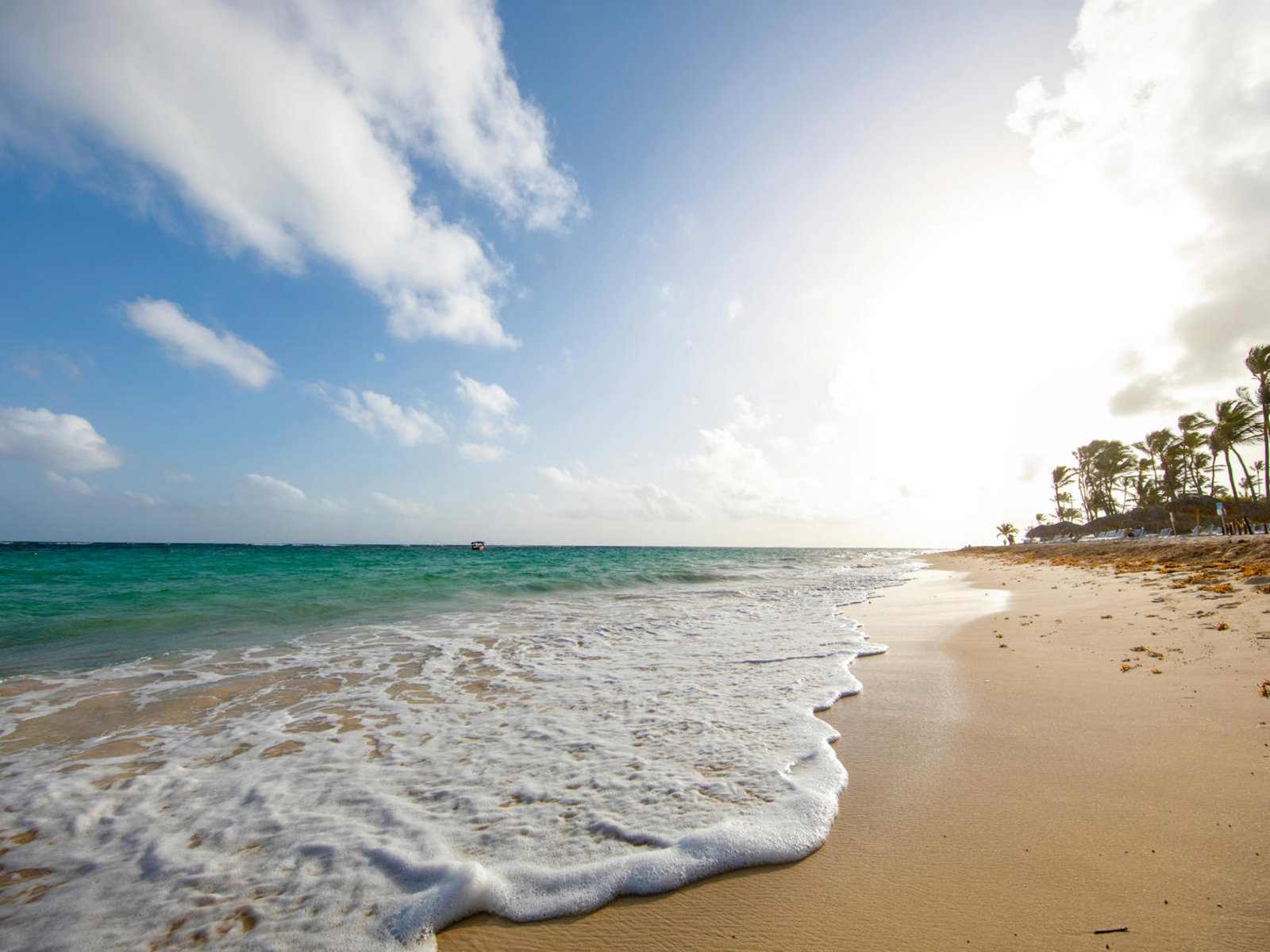 Bavaro