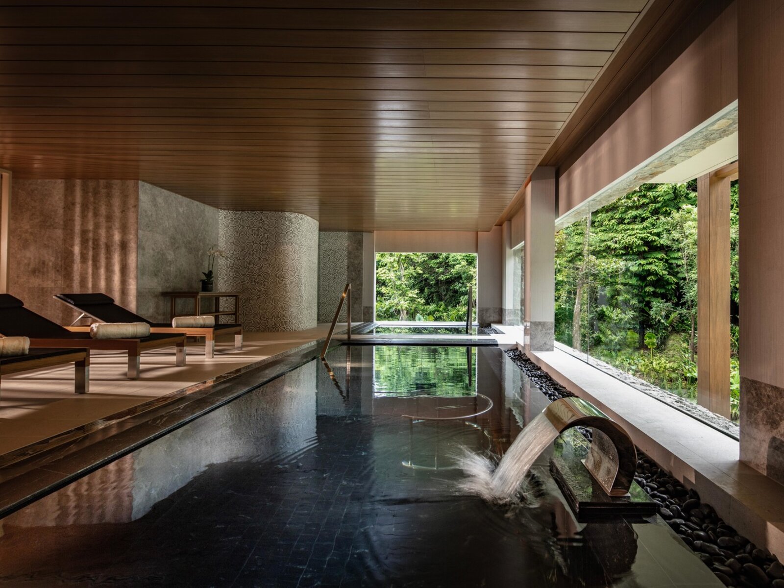 Wellness