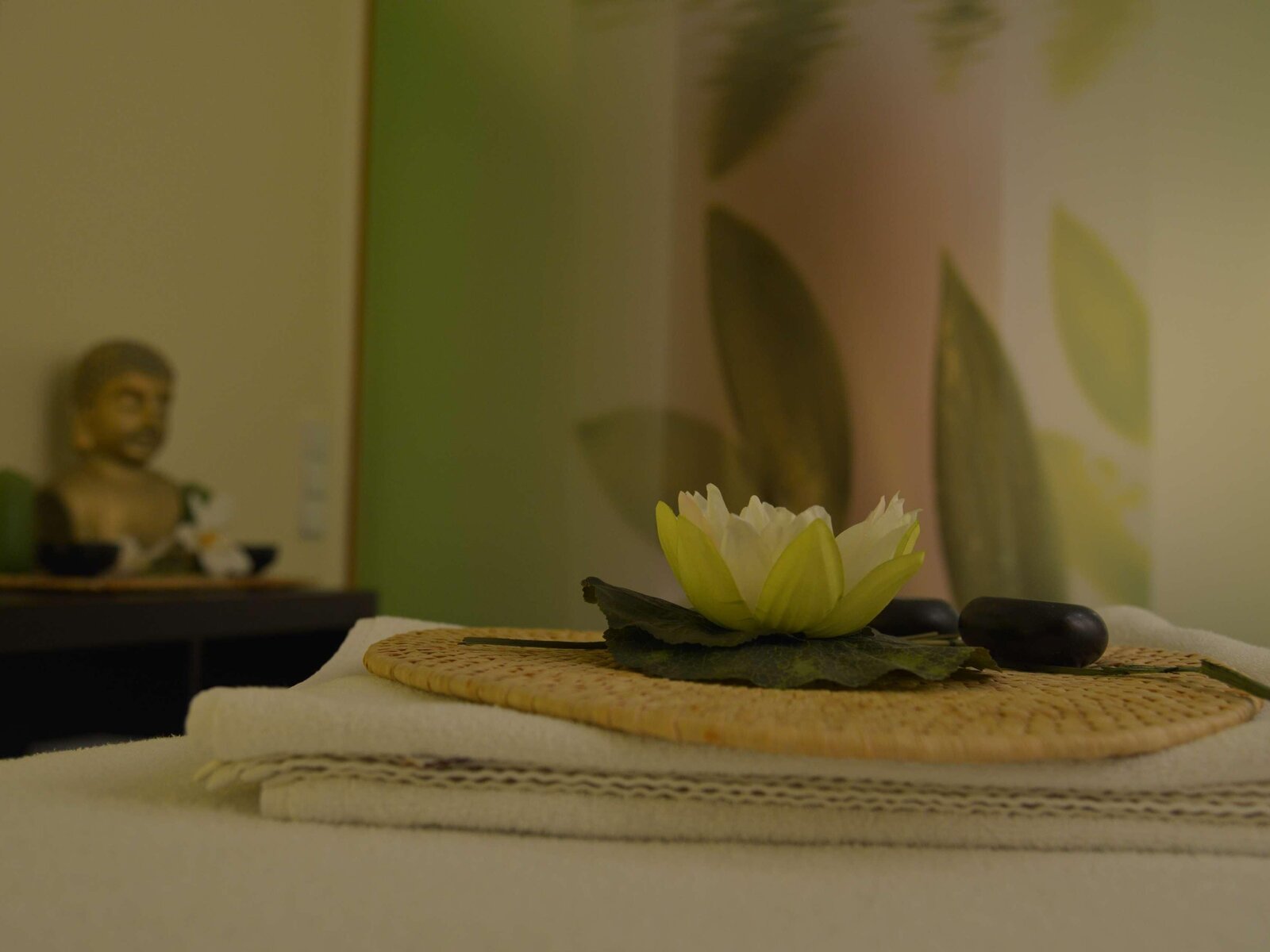 Wellness