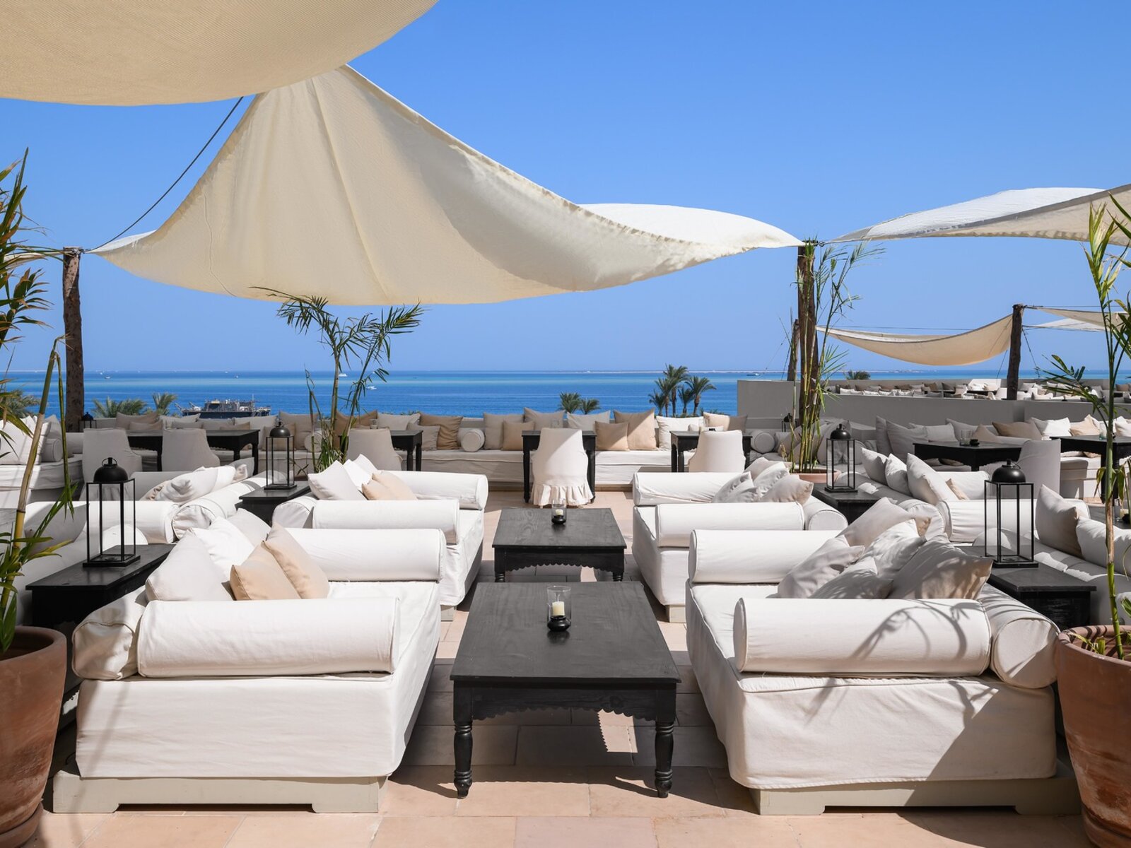 The Rooftop Terrace