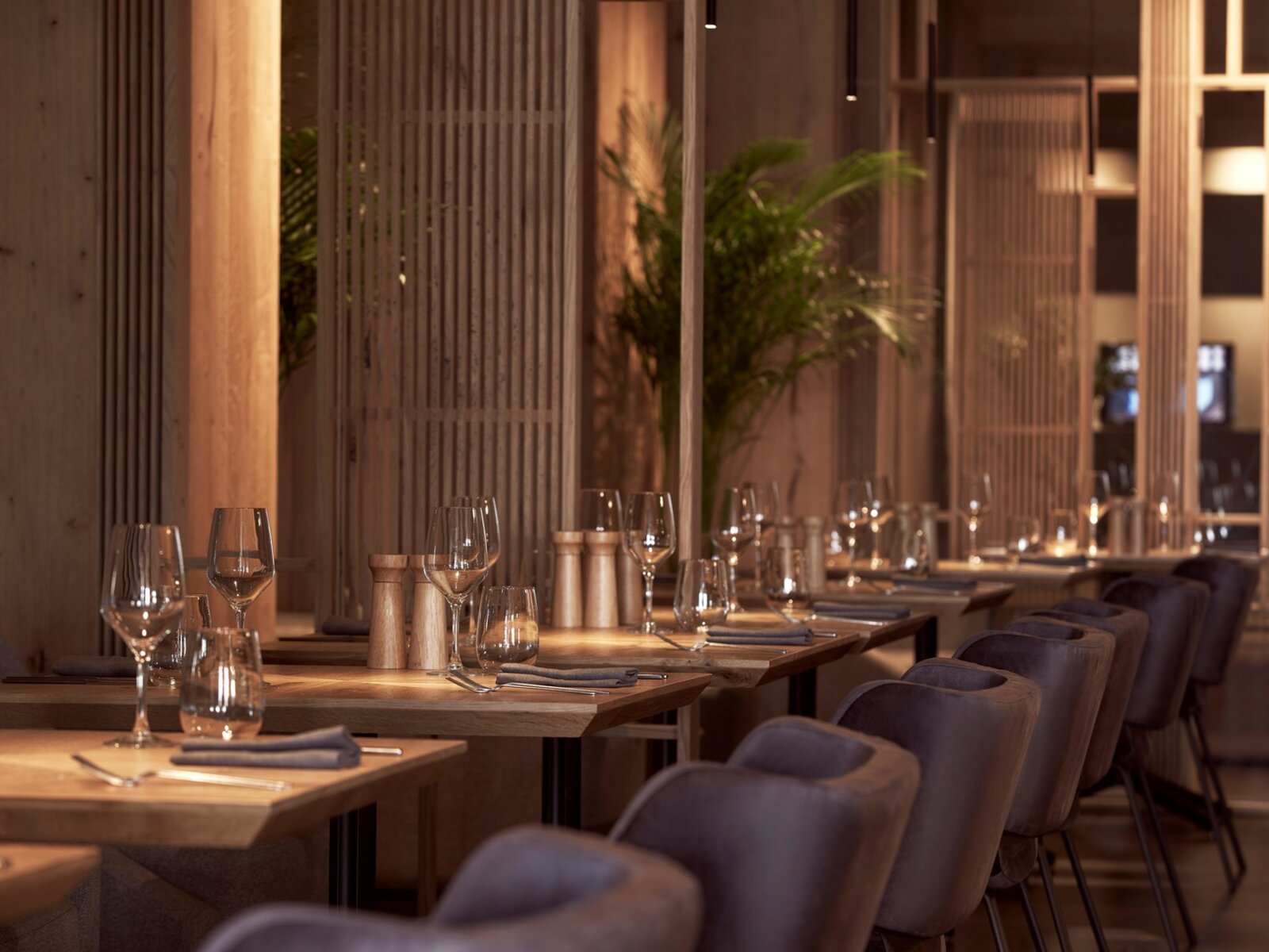 Euphoria Main Theme Restaurant